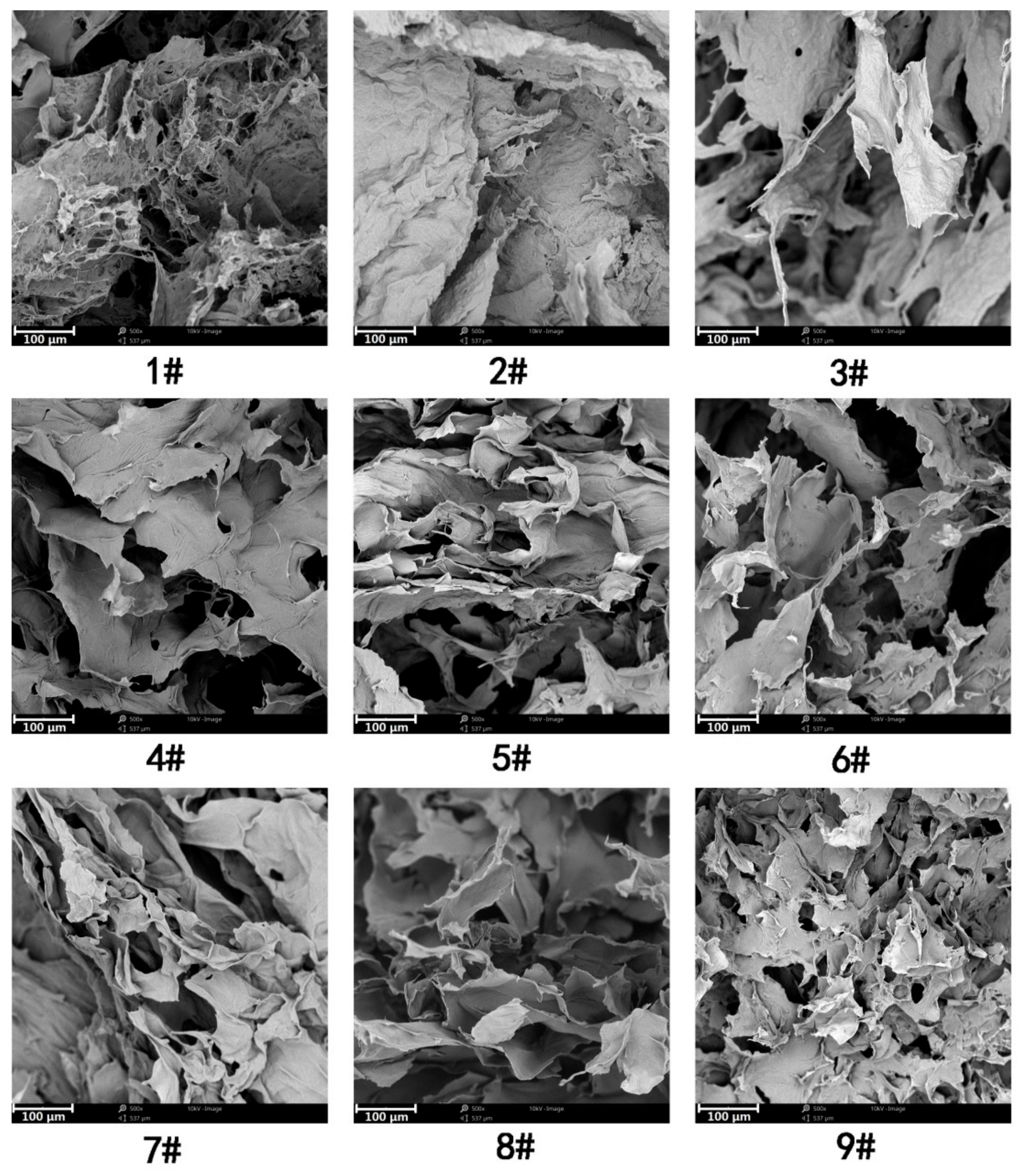 Nanomaterials 08 00800 g006