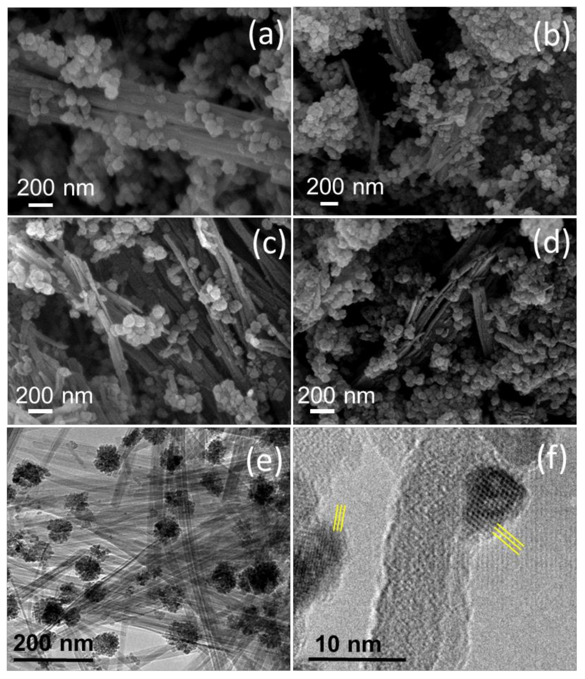 Nanomaterials 08 00808 g007