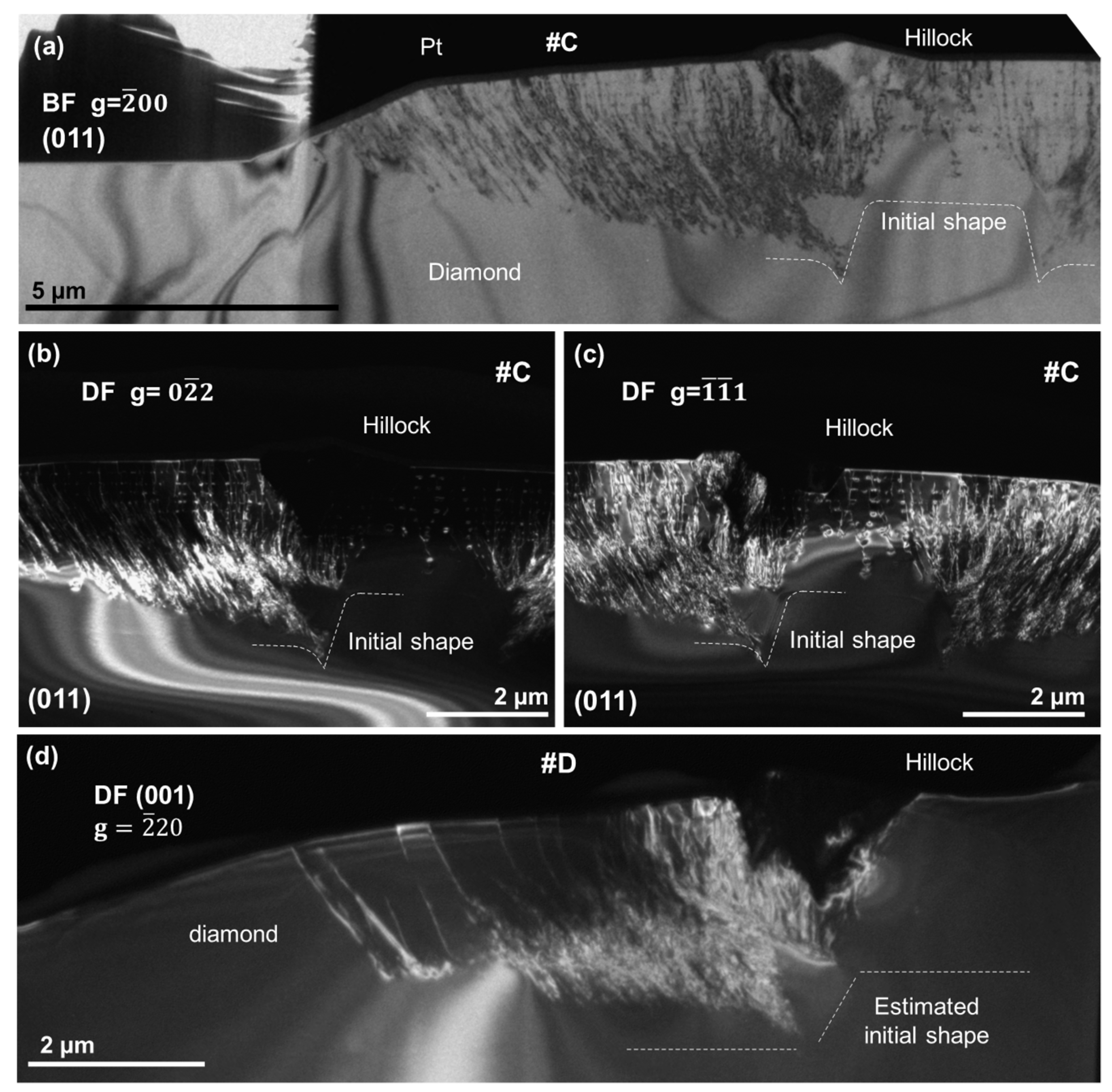Nanomaterials 08 00814 g003