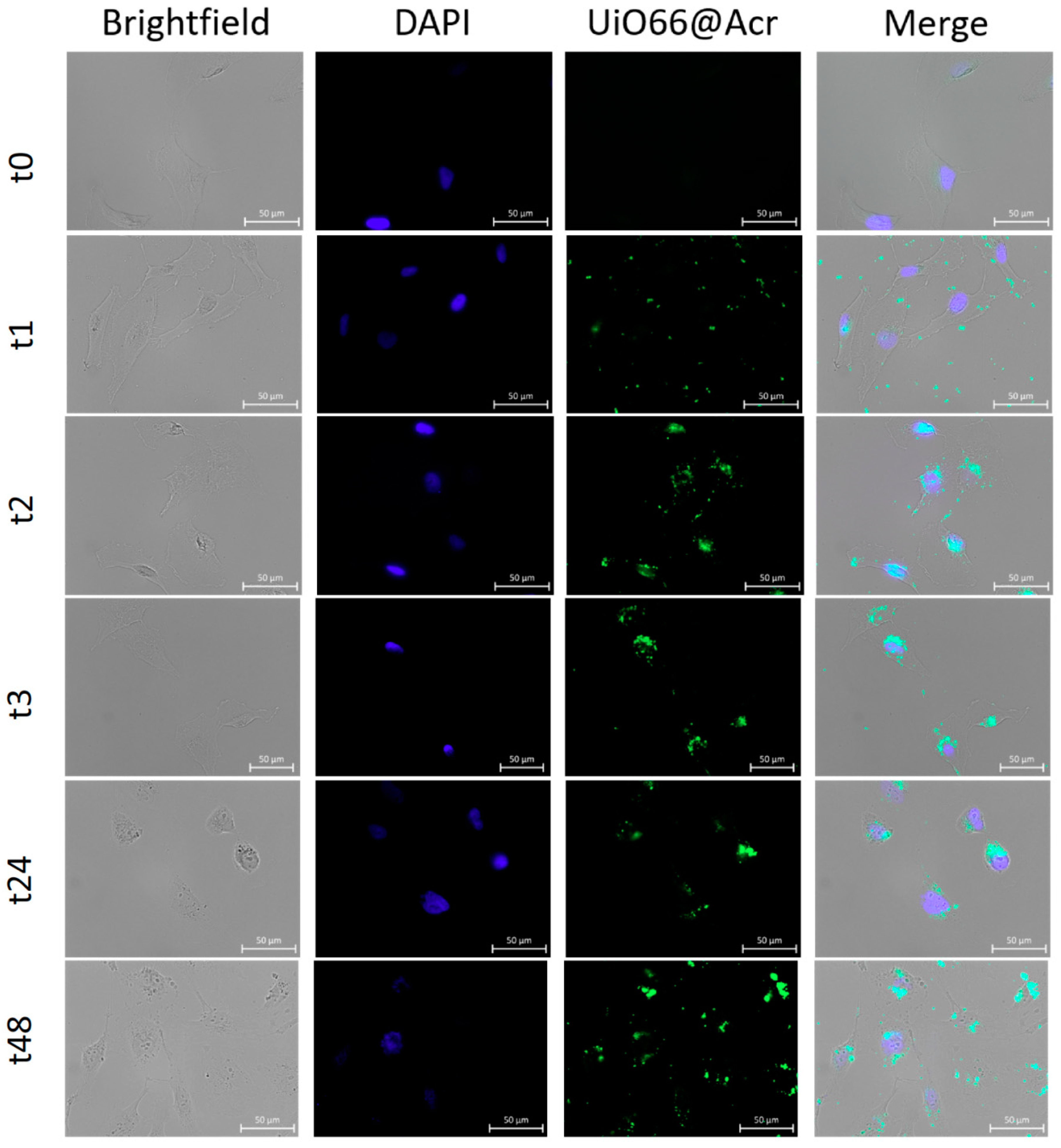 Nanomaterials 08 00867 g004