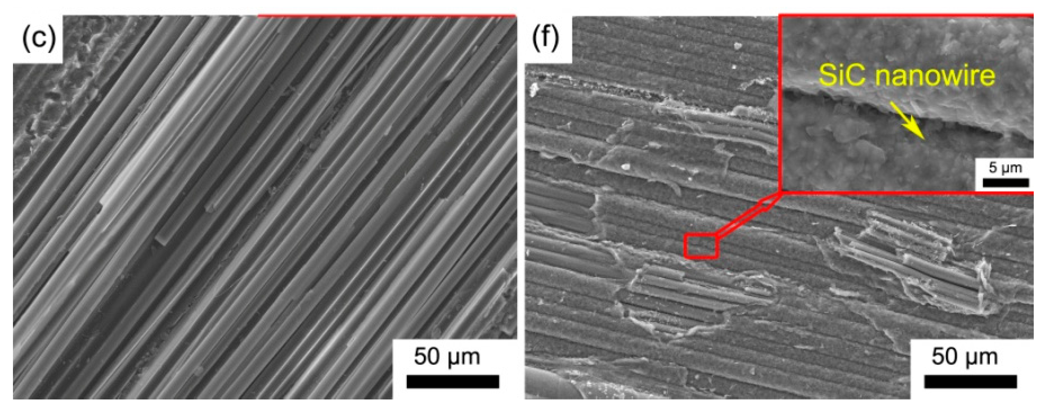Nanomaterials 08 00894 g007b
