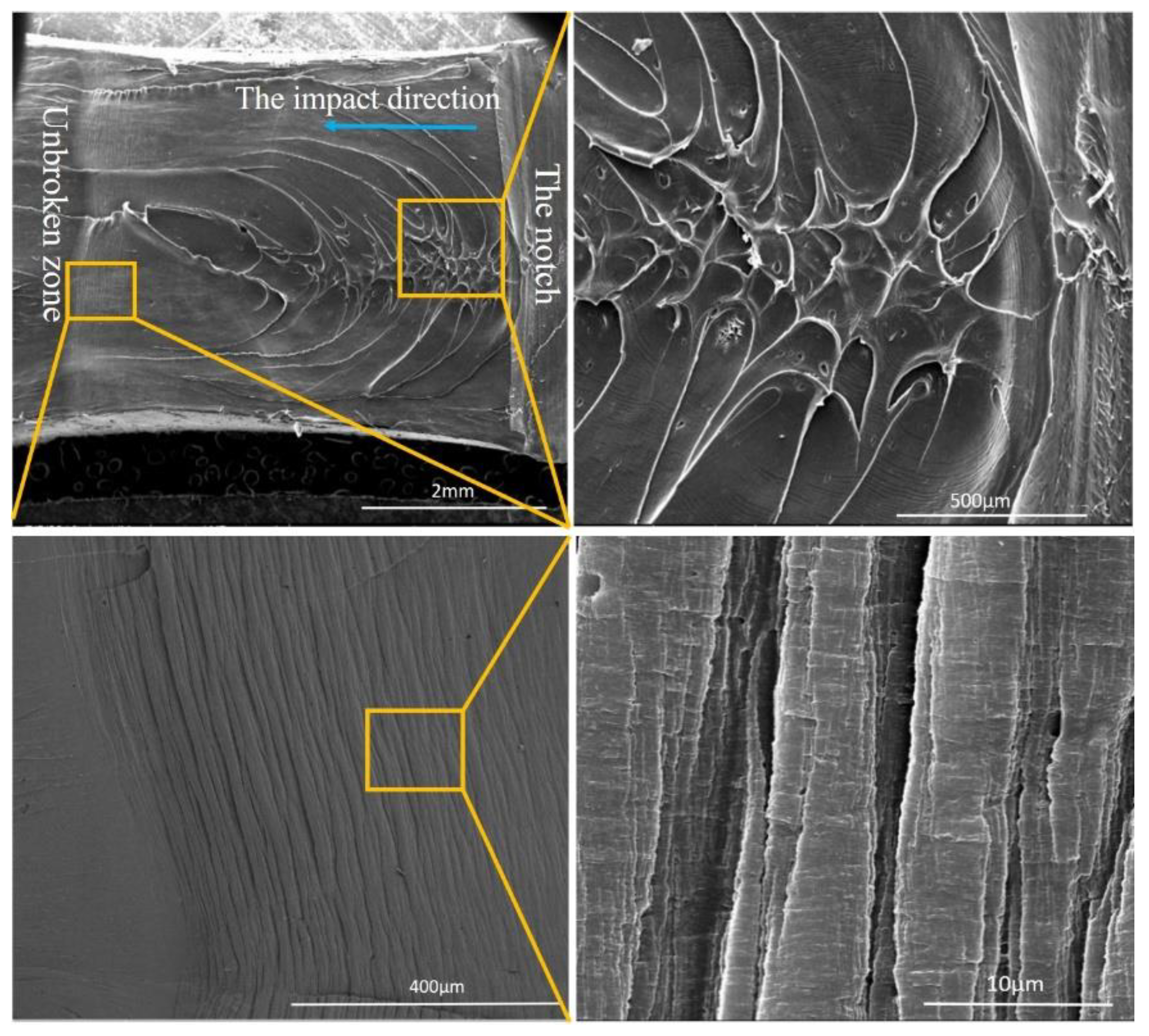 Nanomaterials 08 00932 g010