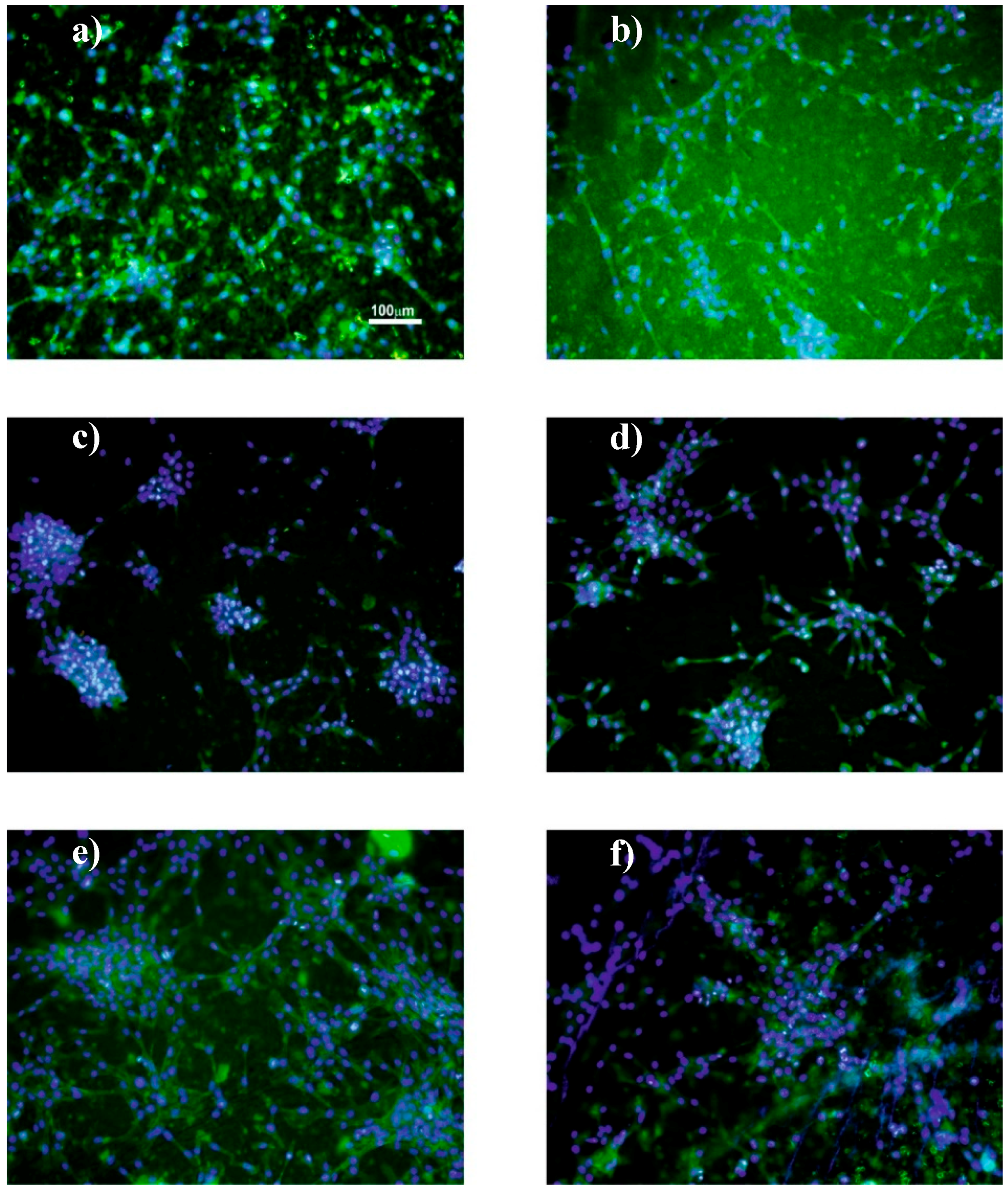 Nanomaterials 08 00933 g012 Nanomaterials 08 00933 g012