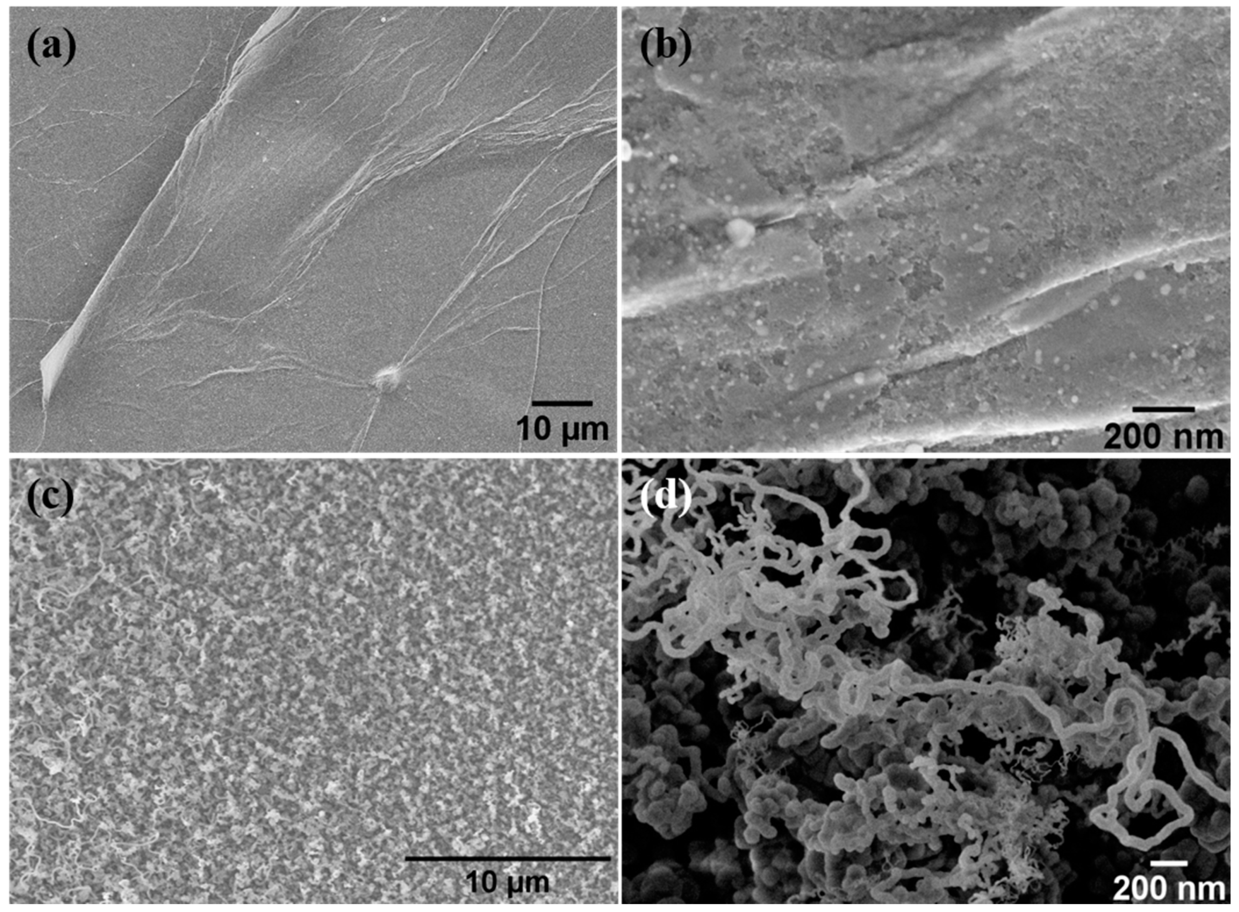 Nanomaterials 08 00954 g003