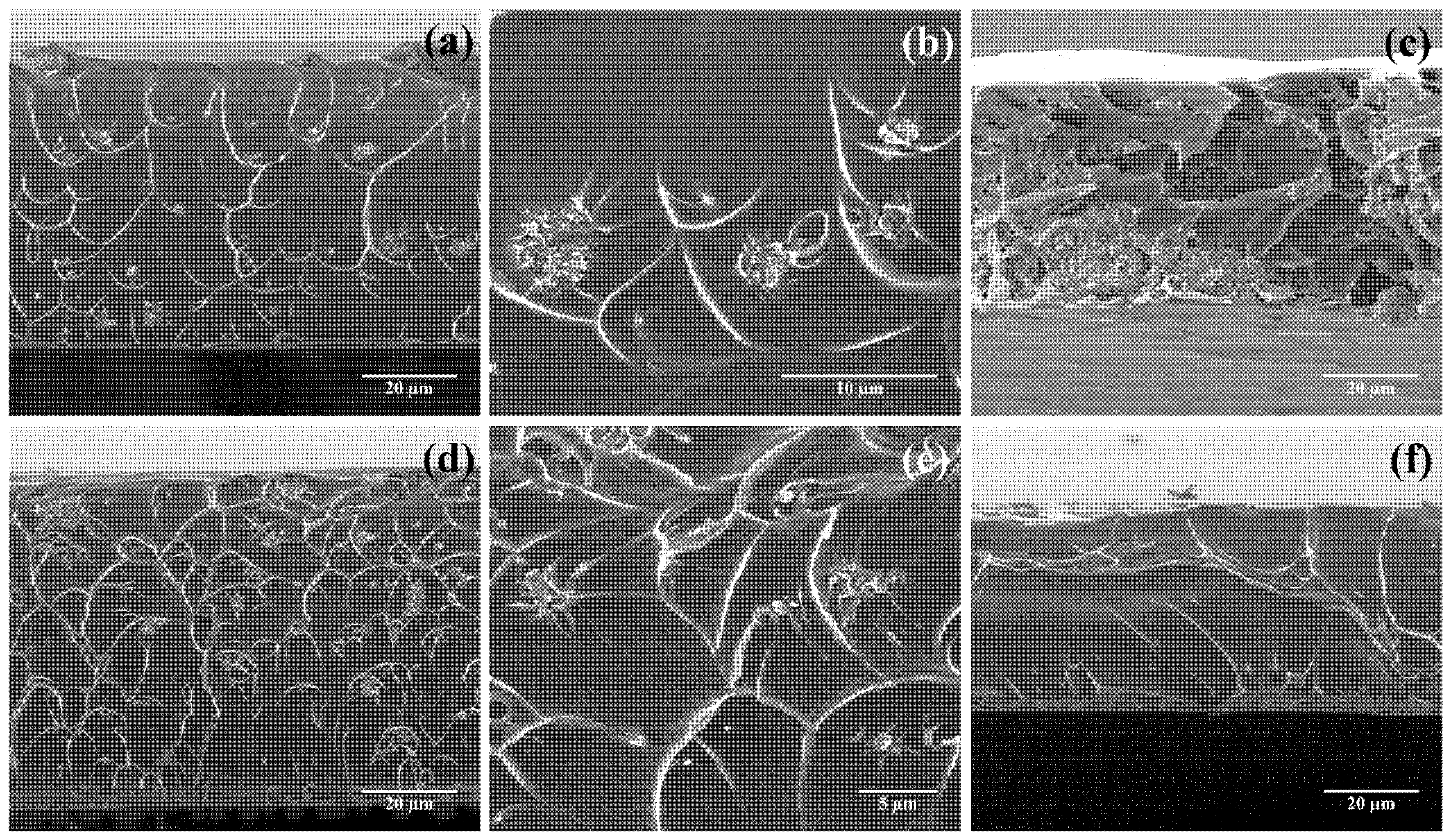 Nanomaterials 08 01010 g004