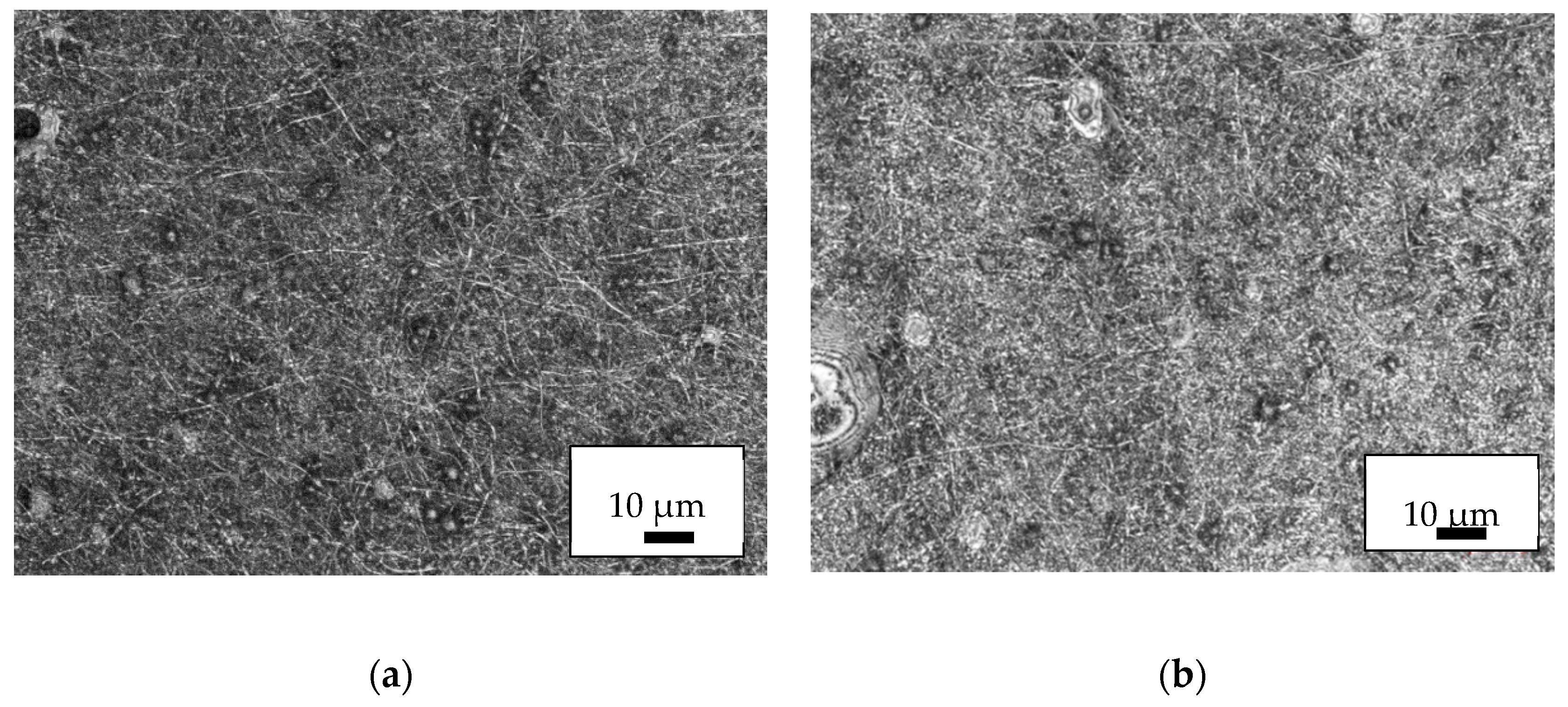 Nanomaterials 09 00092 g005a