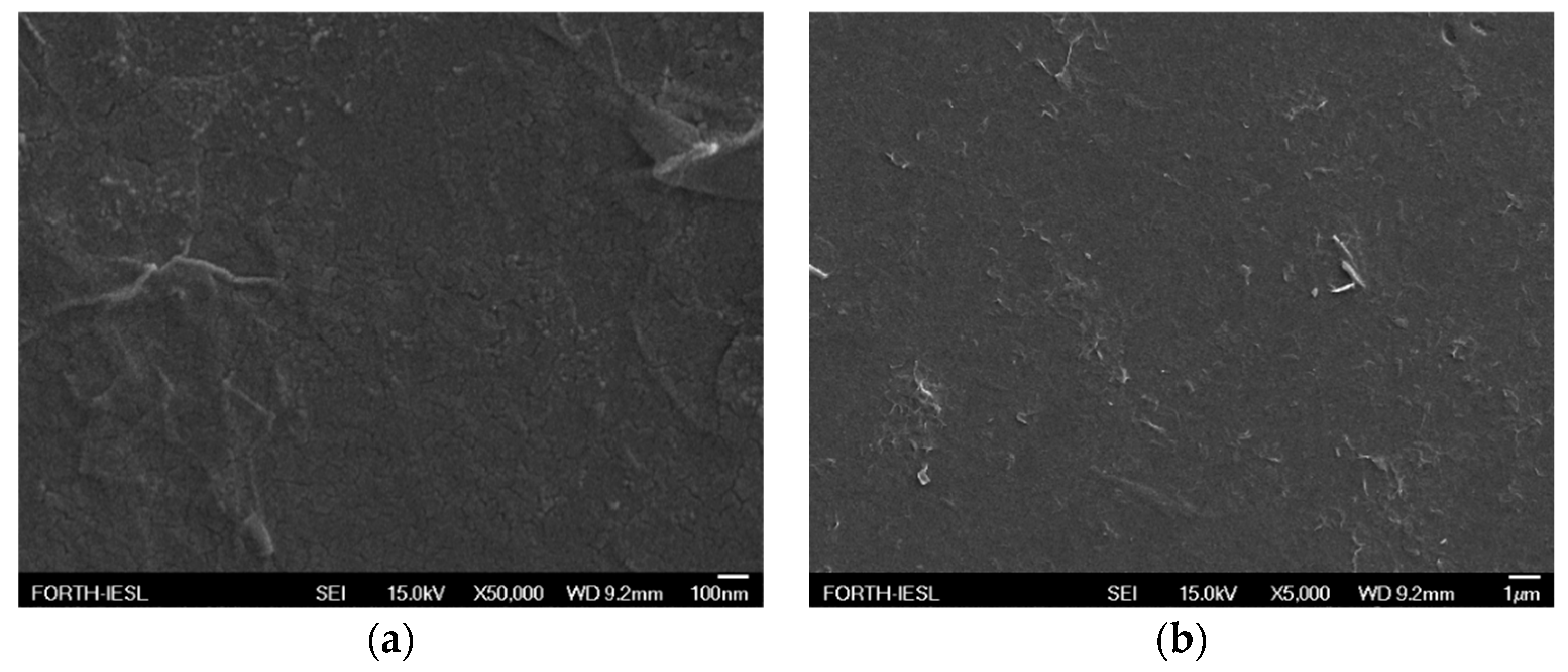Nanomaterials 09 00137 g008