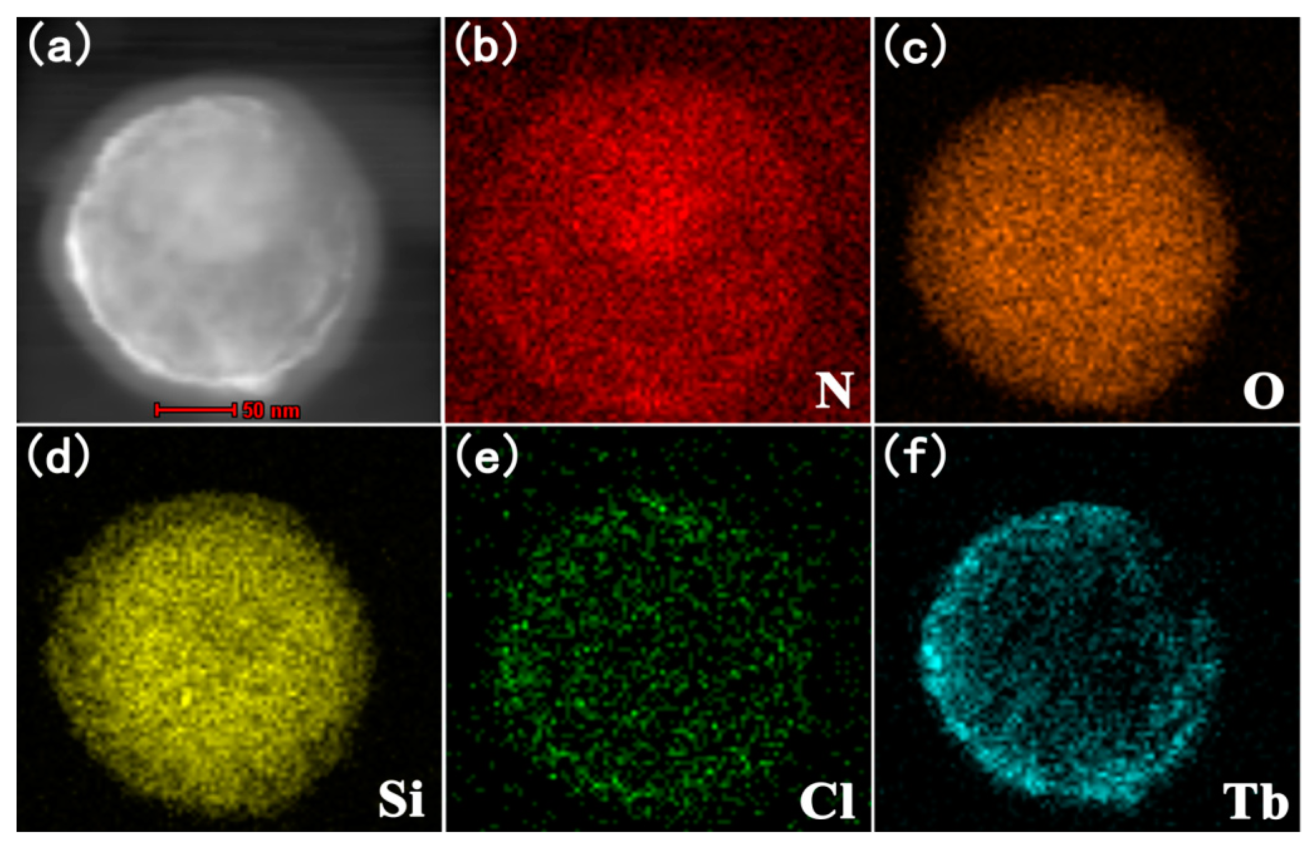 Nanomaterials 09 00189 g004