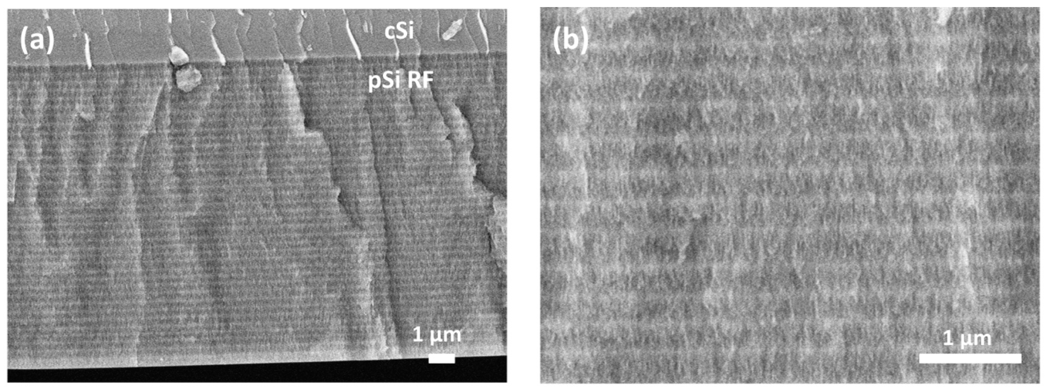 Nanomaterials 09 00421 g005