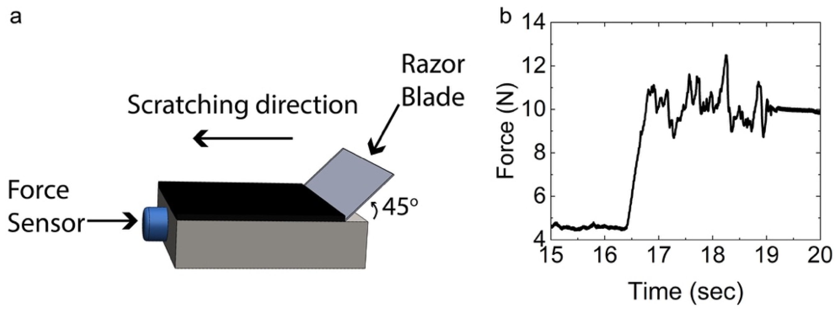 Nanomaterials 09 00444 g001