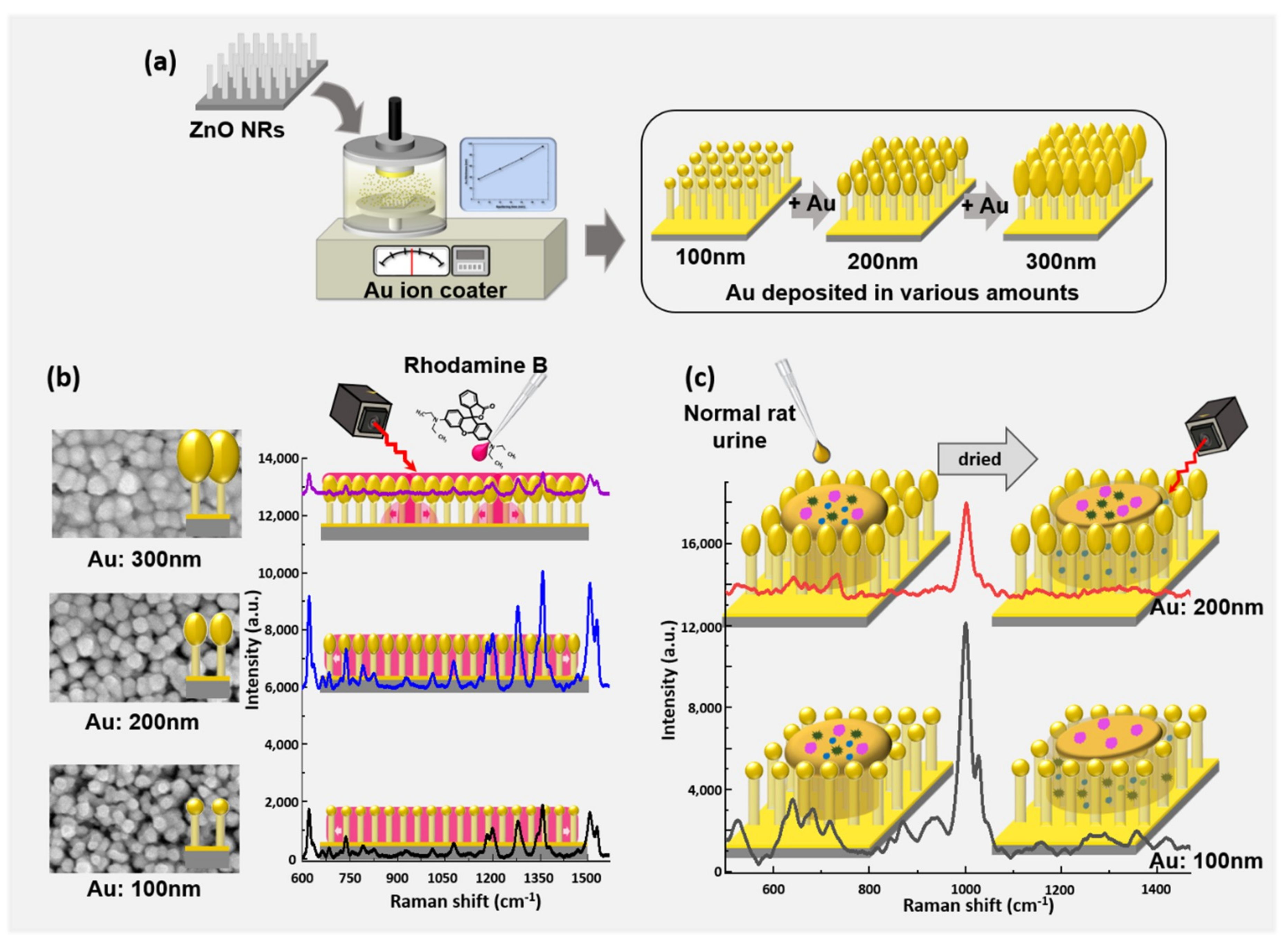 Nanomaterials 09 00447 g001