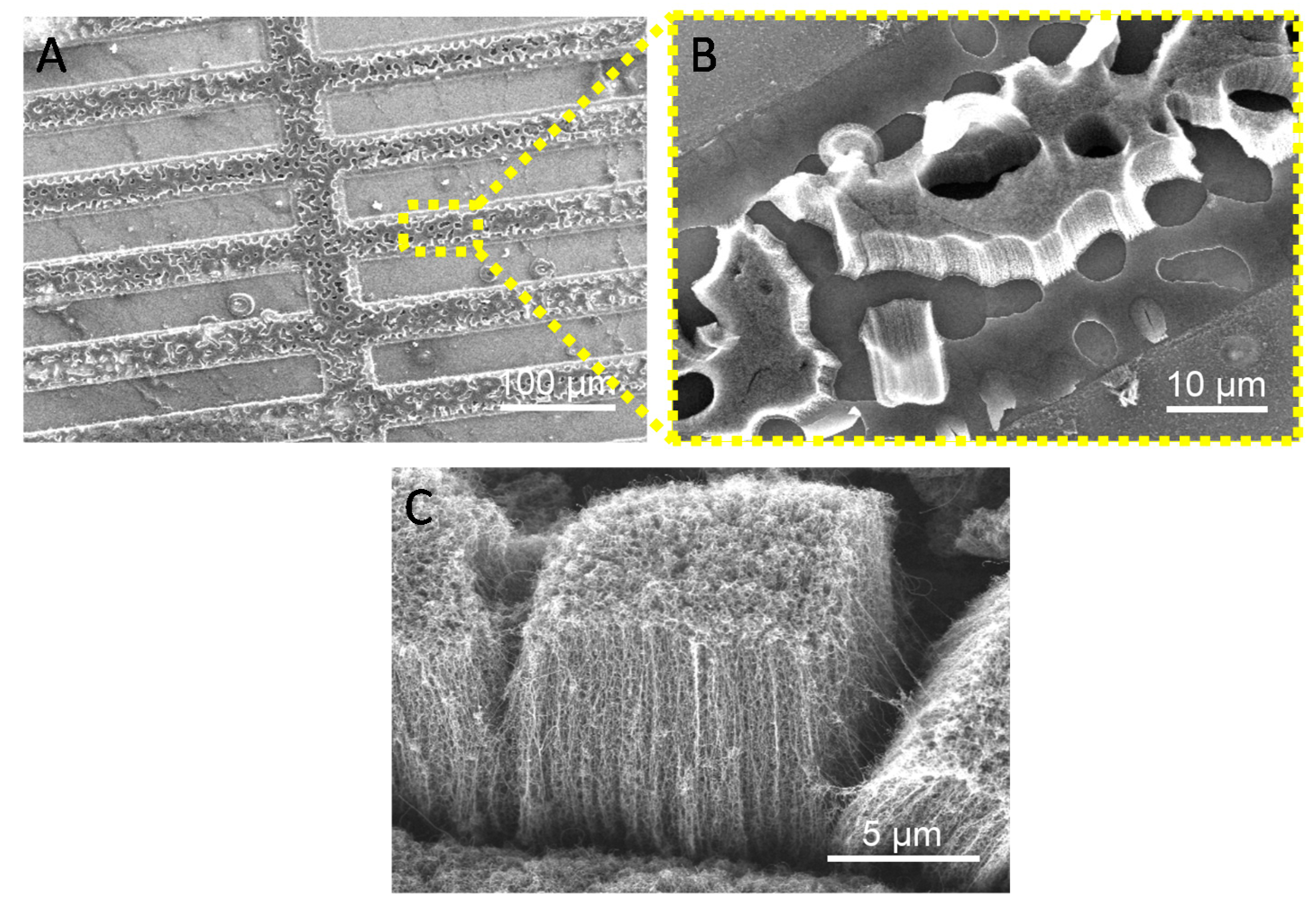 Nanomaterials 09 00571 g006
