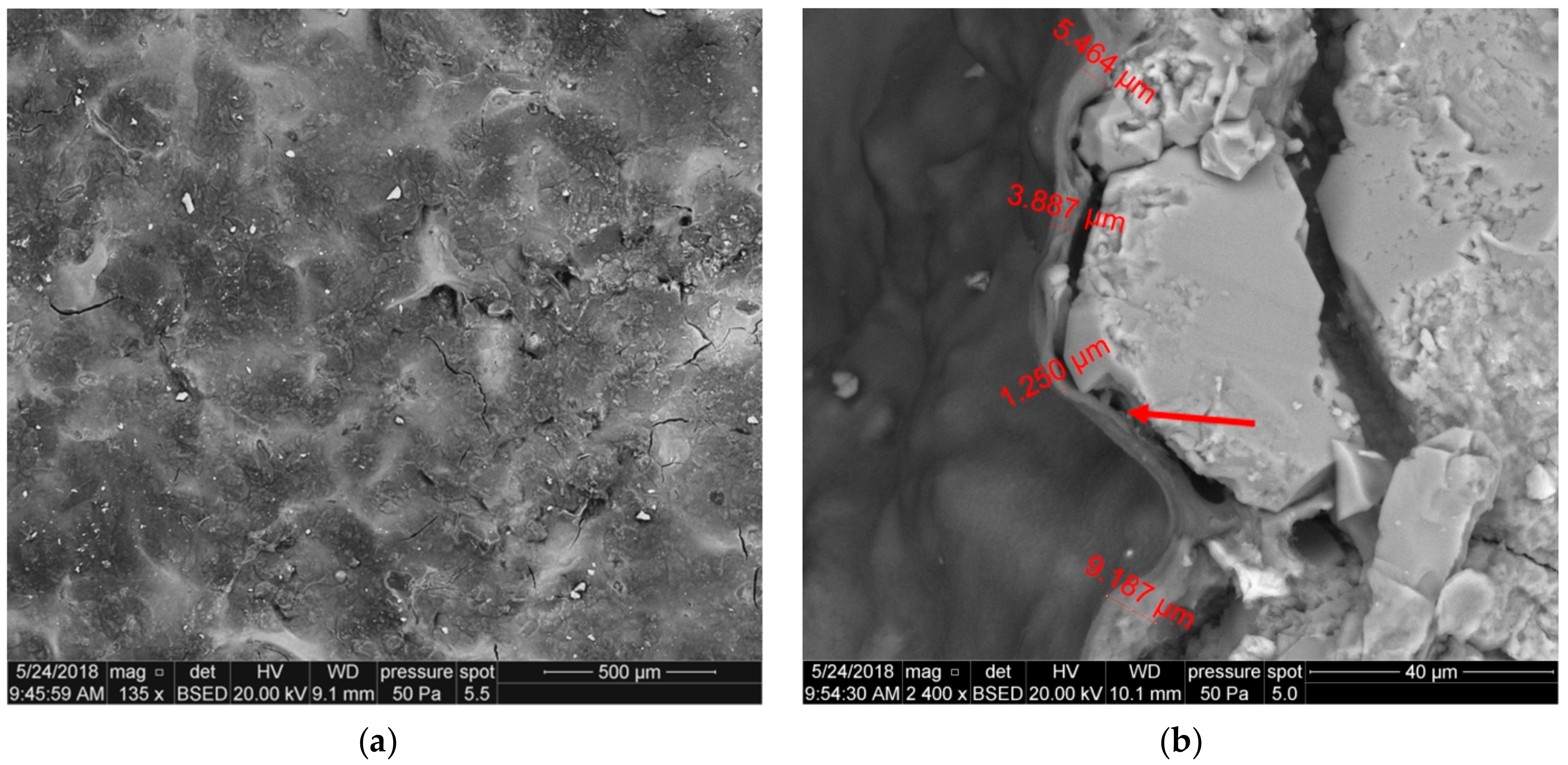 Nanomaterials 09 00766 g013