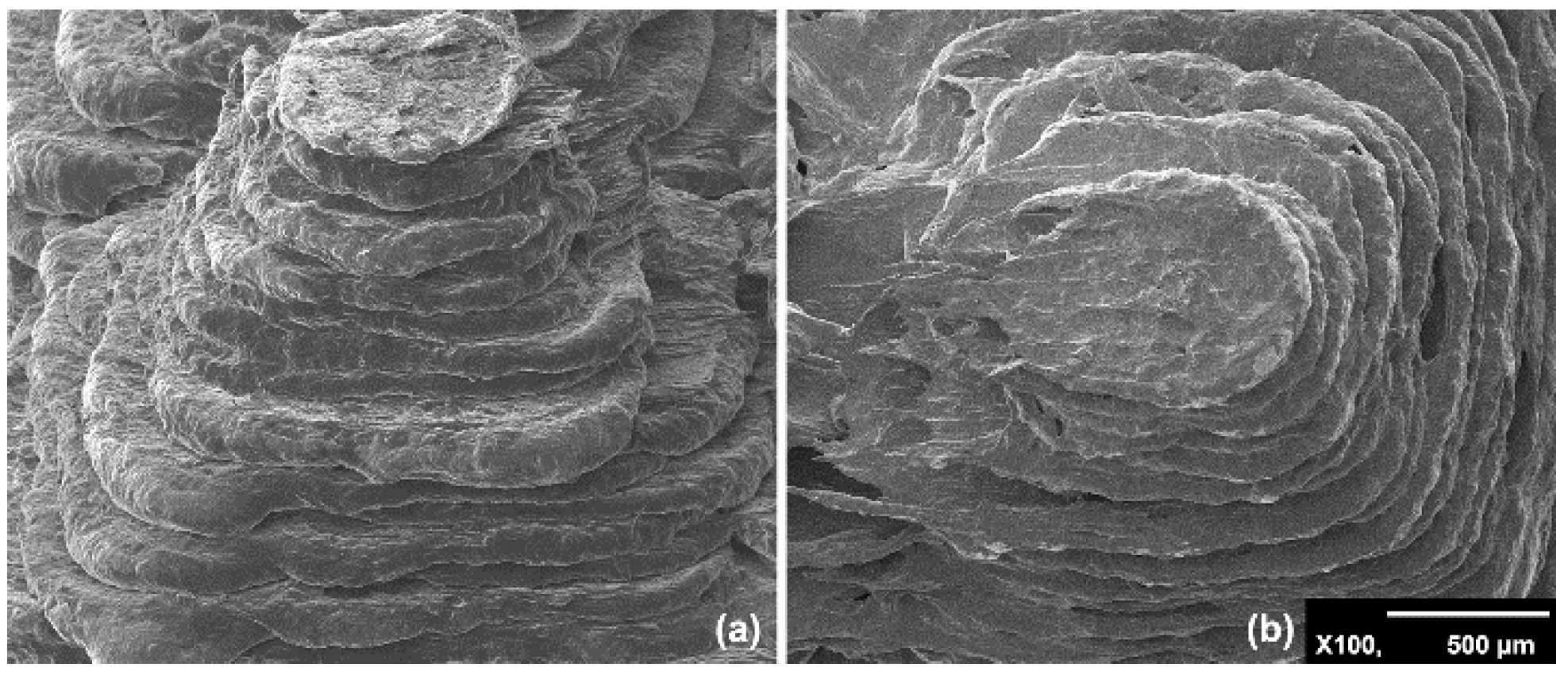 Nanomaterials 09 01056 g001 Nanomaterials 09 01056 g001