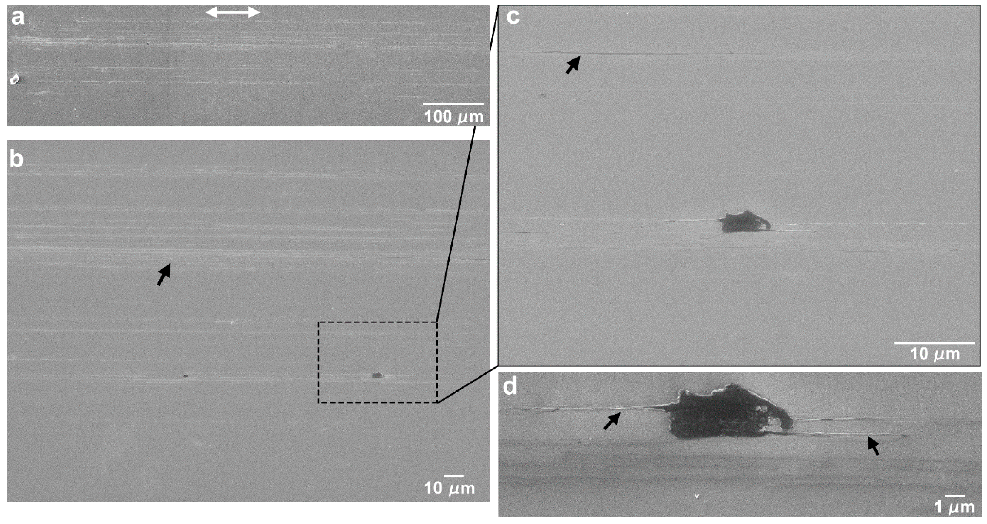 Nanomaterials 09 01237 g005