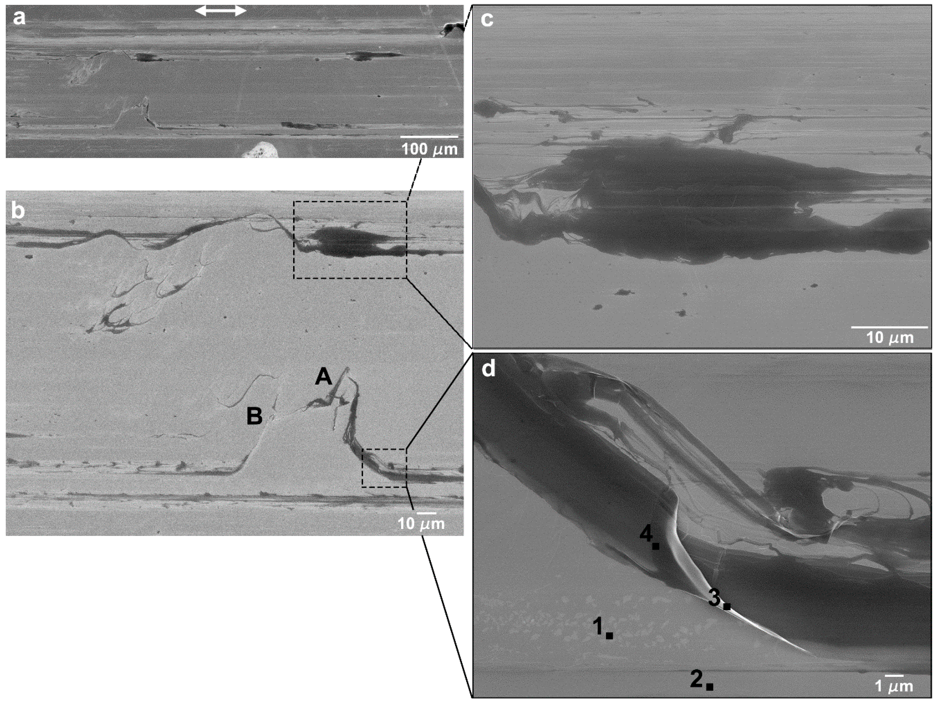 Nanomaterials 09 01237 g006