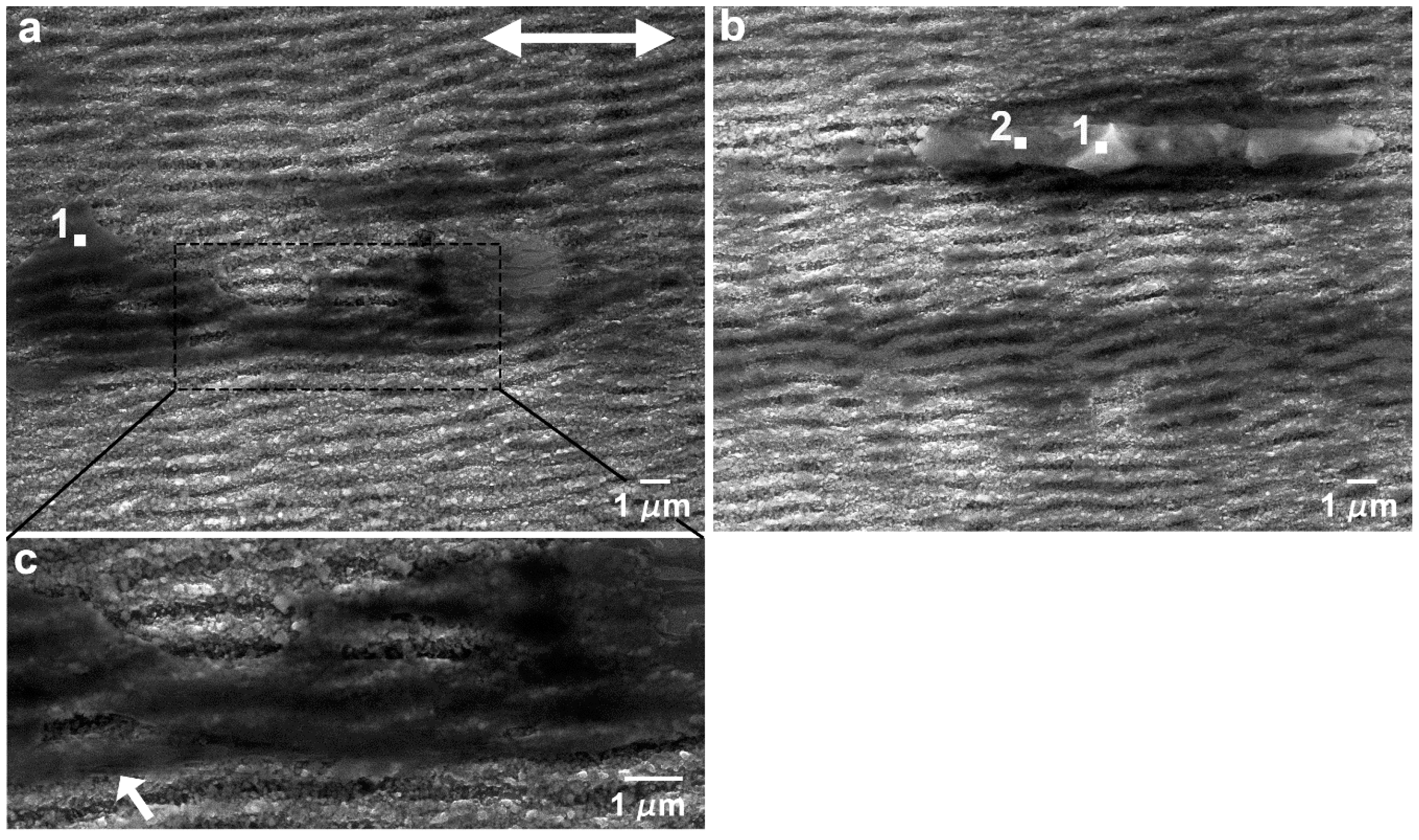 Nanomaterials 09 01237 g010