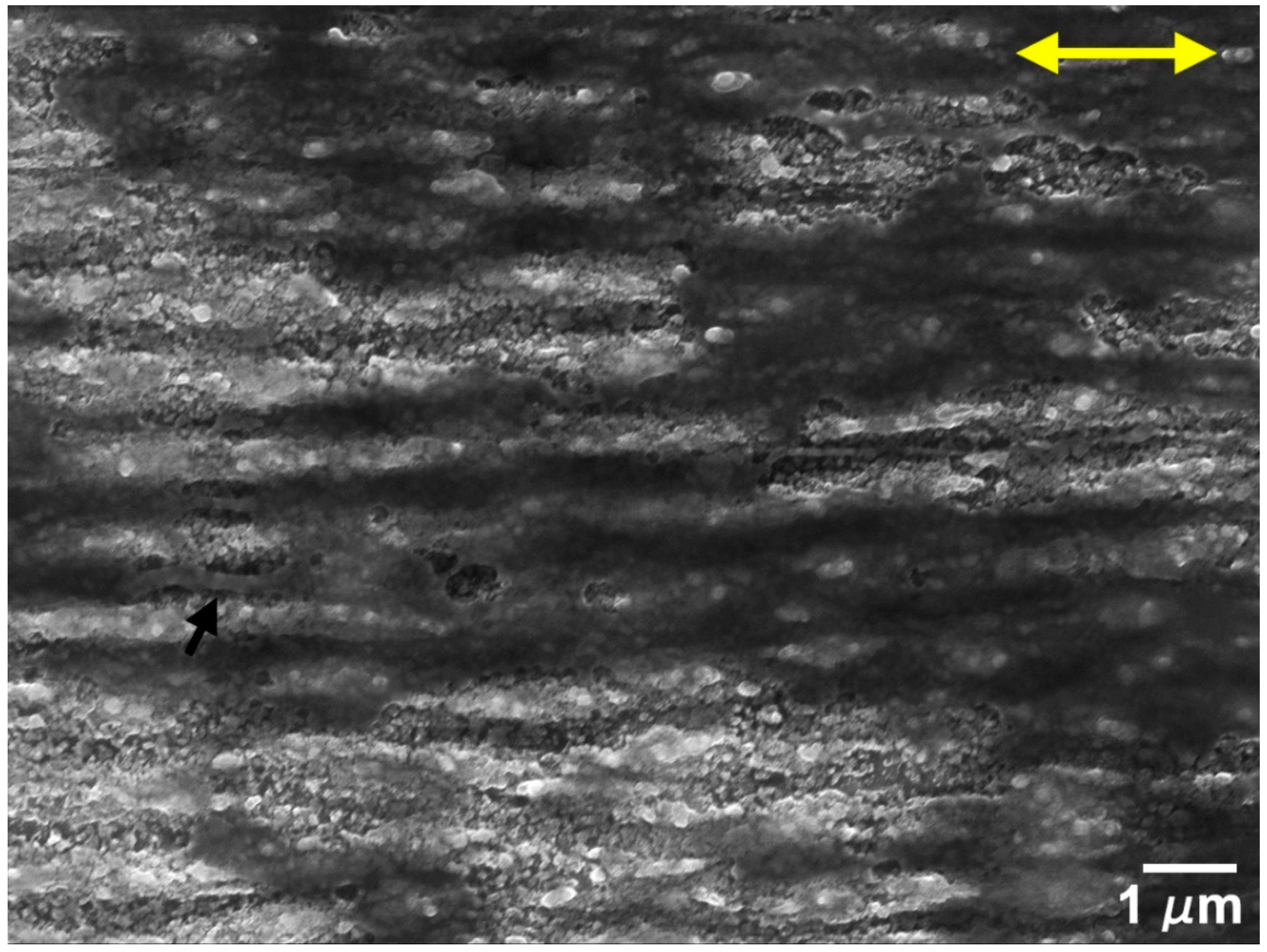 Nanomaterials 09 01237 g011