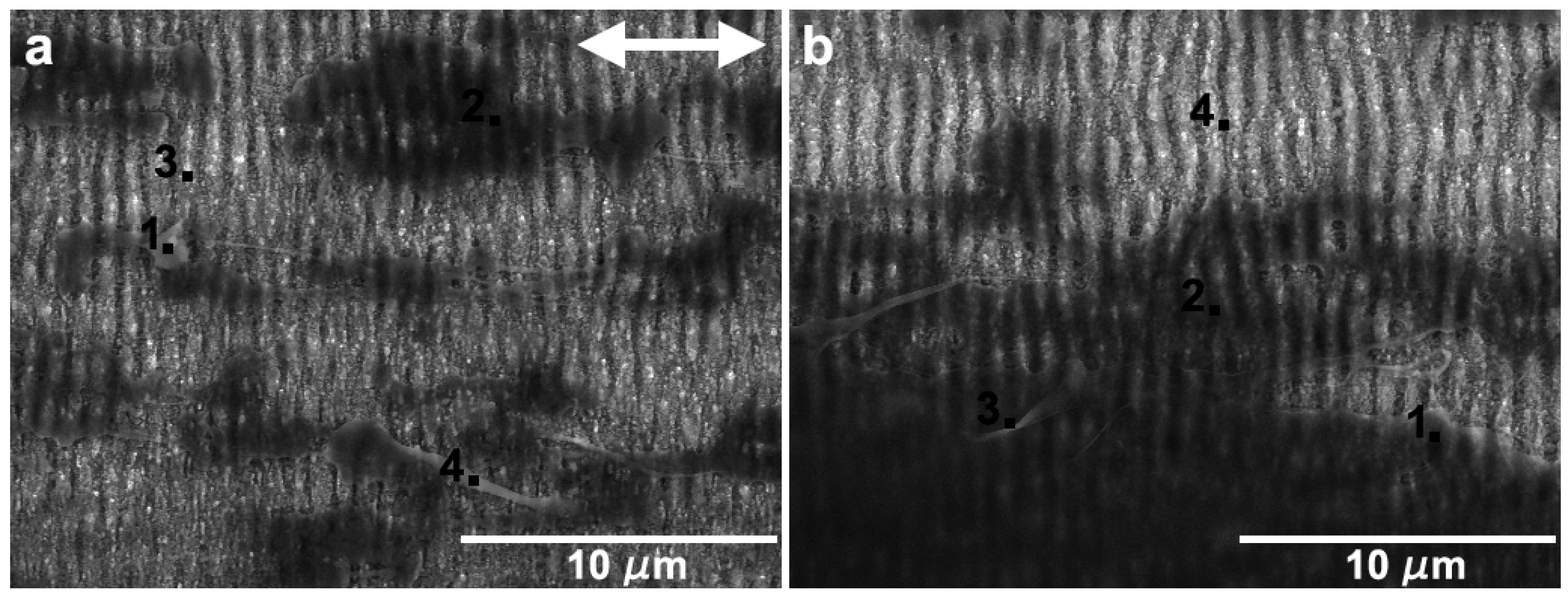 Nanomaterials 09 01237 g016