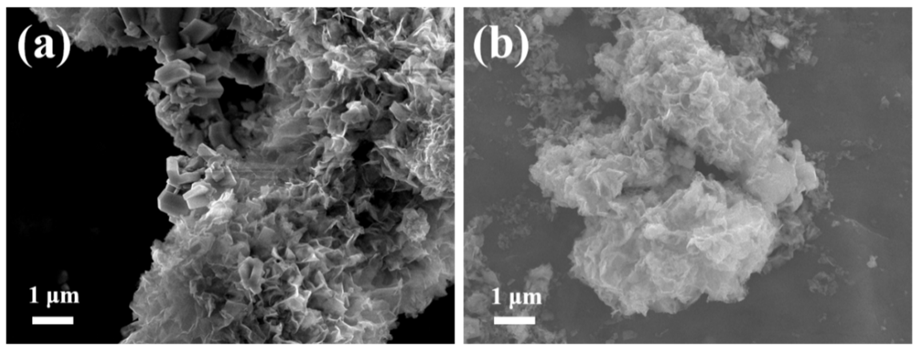 Nanomaterials 09 01244 g0a2 Nanomaterials 09 01244 g0a2