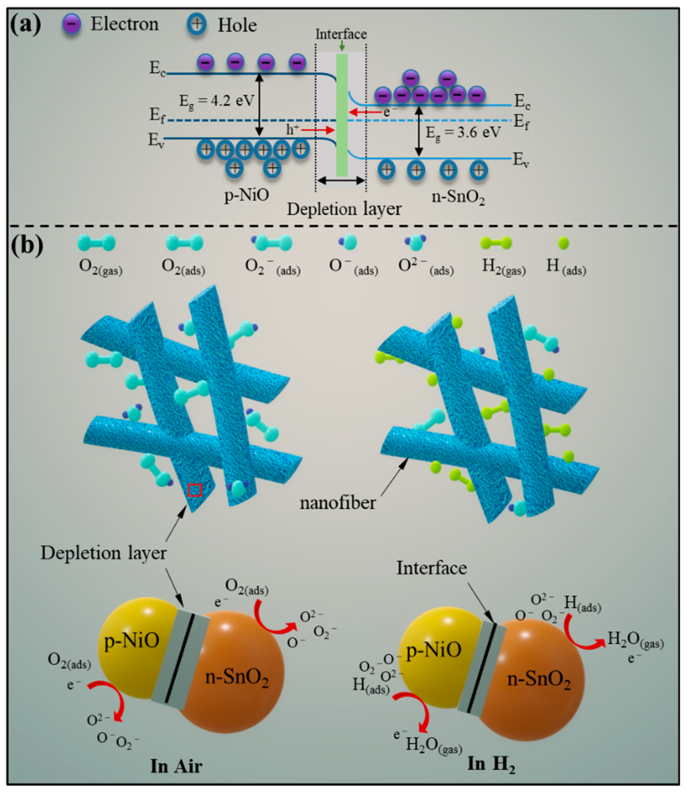 Nanomaterials 09 01250 g010