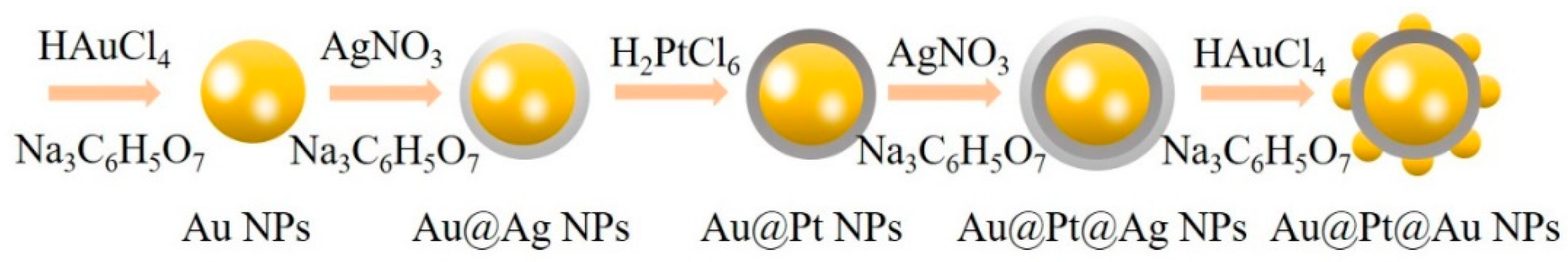 Nanomaterials 09 01263 g001