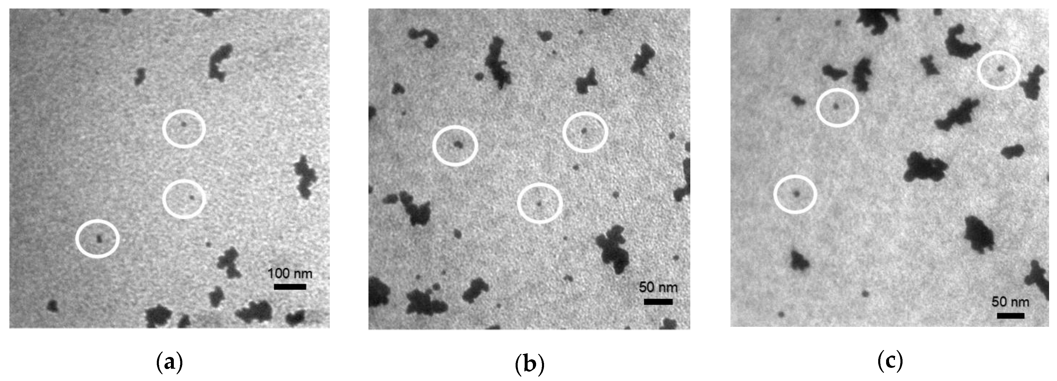 Nanomaterials 09 01311 g003 Nanomaterials 09 01311 g003