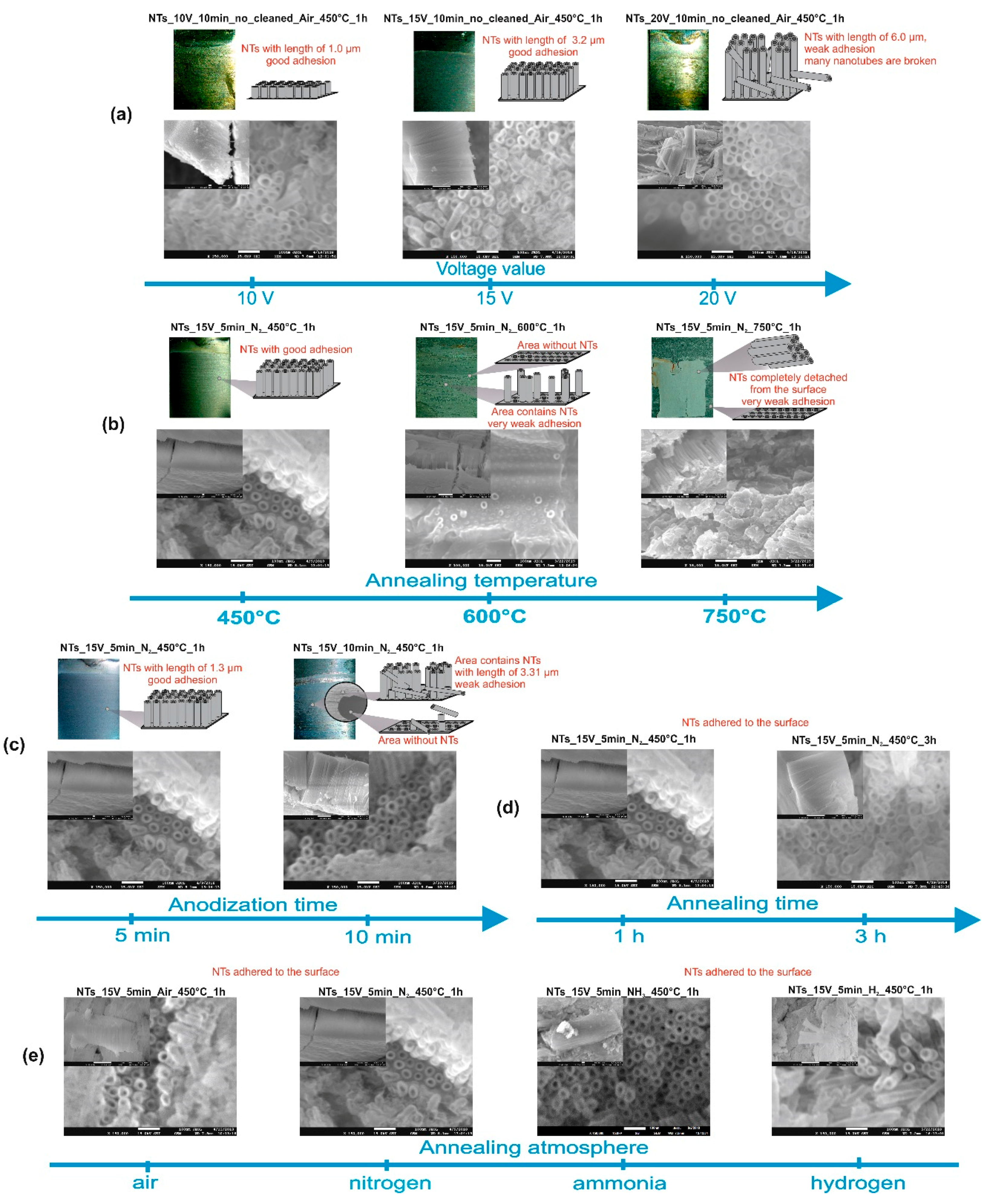 Nanomaterials 09 01347 g001