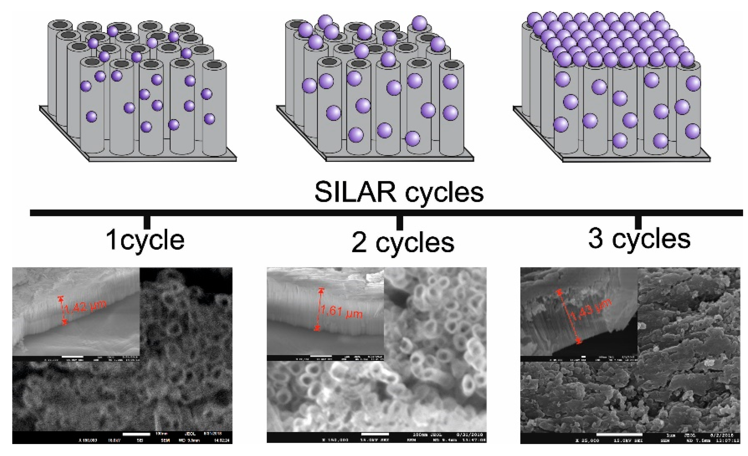 Nanomaterials 09 01347 g004