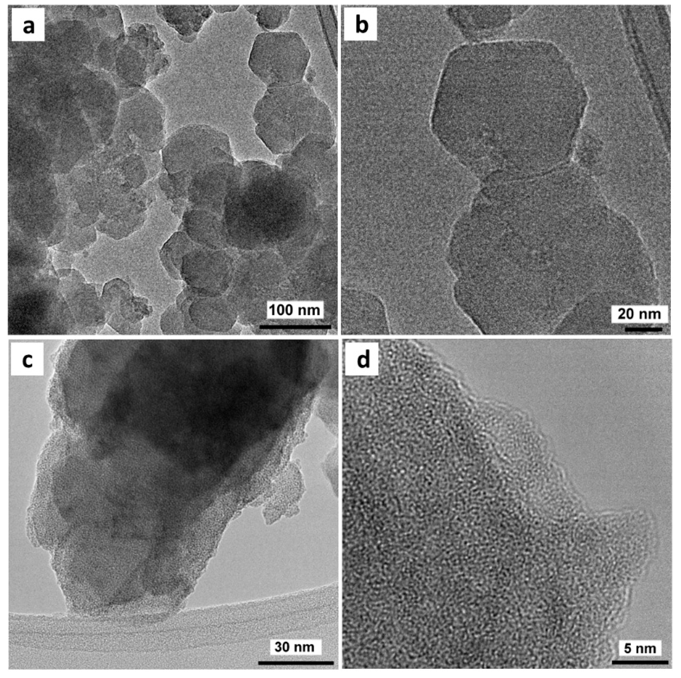 Nanomaterials 10 00165 g003