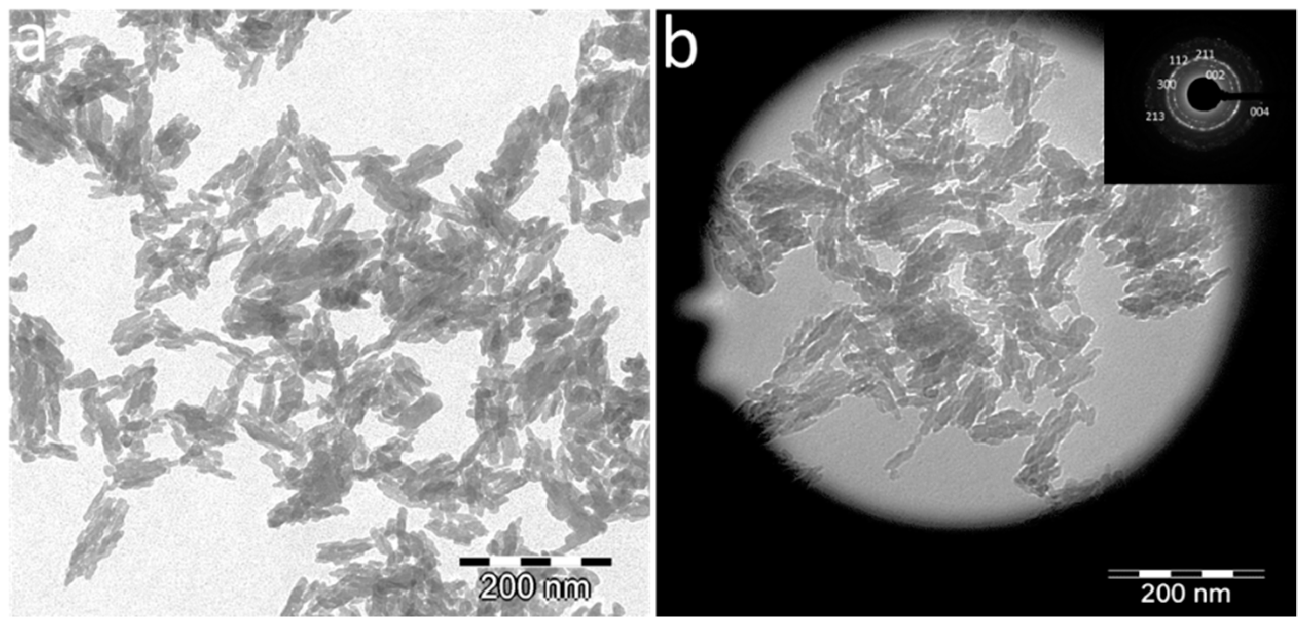 Nanomaterials 10 00199 g001