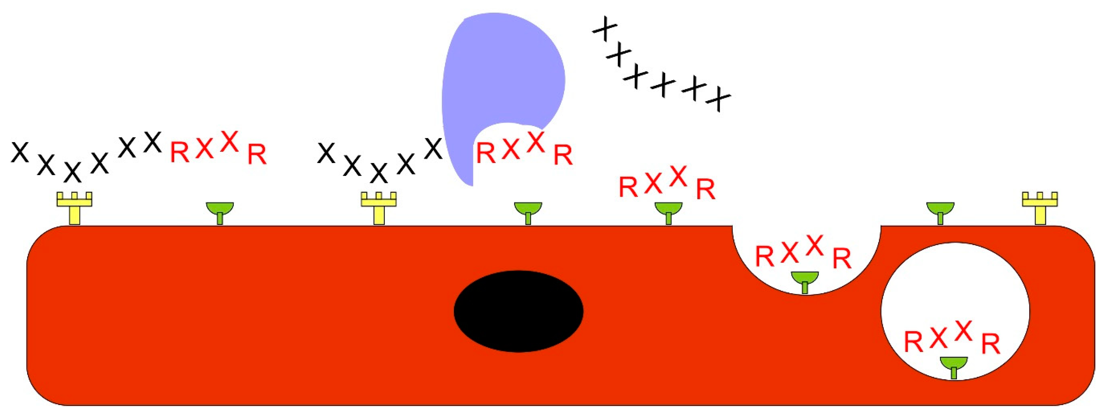 Nanomaterials 10 00226 g005 Nanomaterials 10 00226 g005