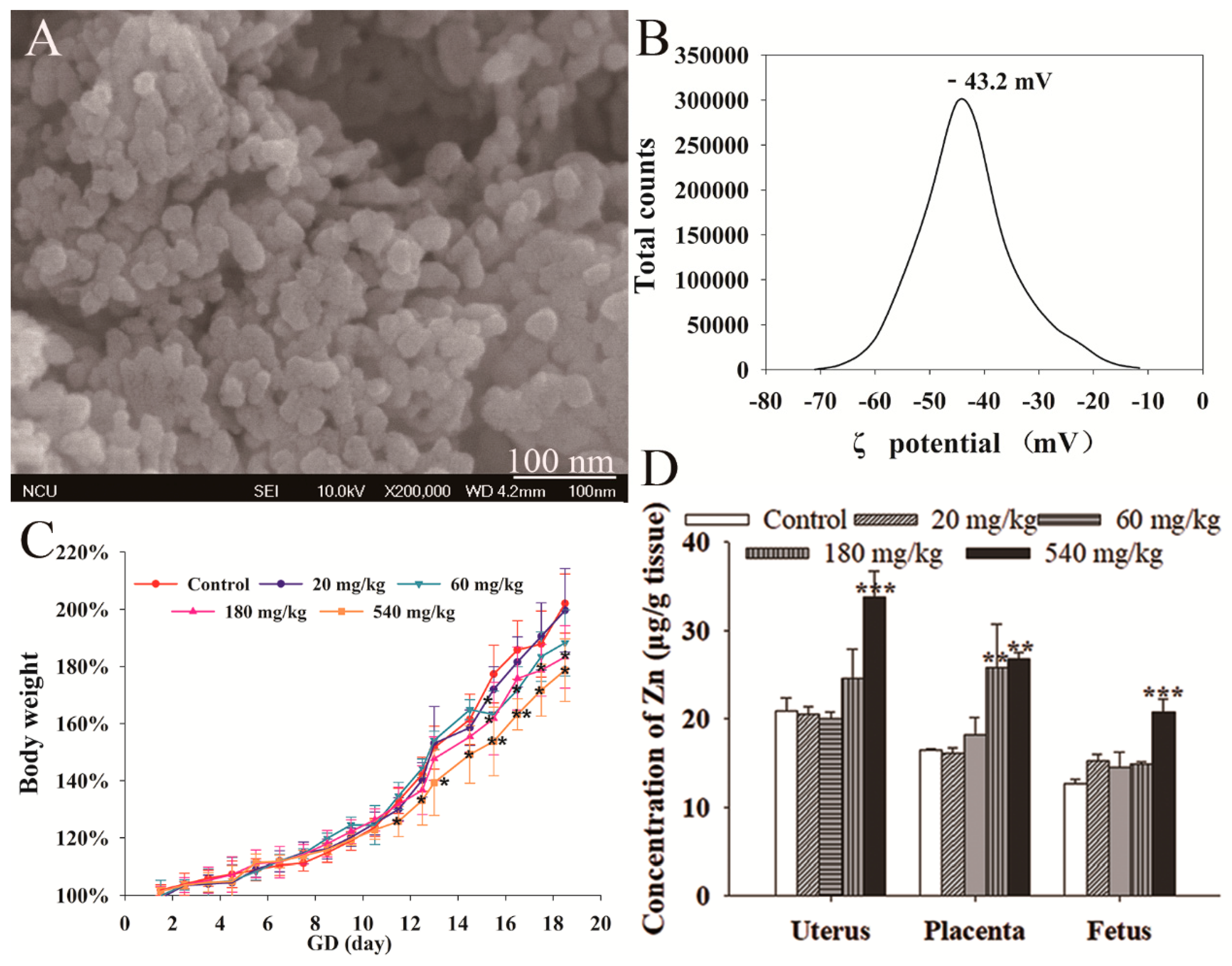 Nanomaterials 10 00259 g001