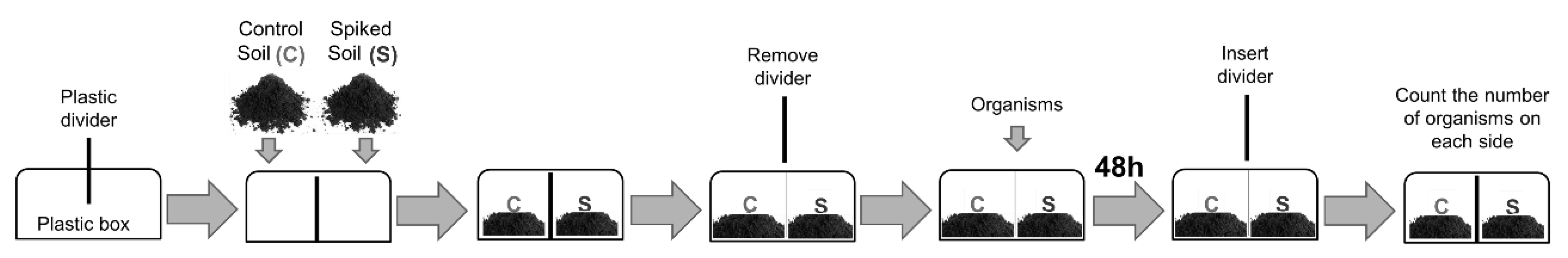 Nanomaterials 10 00402 g001