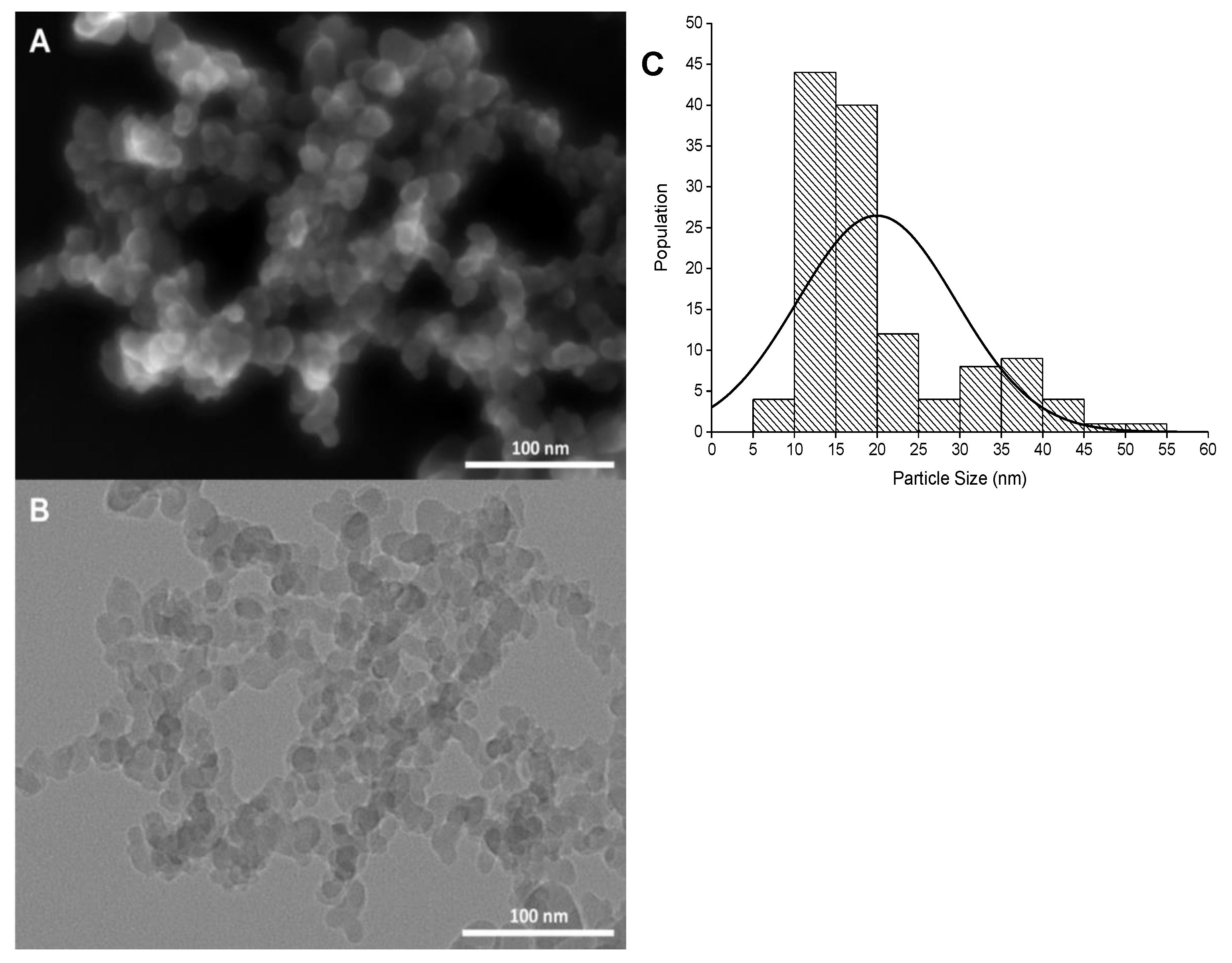 Nanomaterials 10 00402 g003