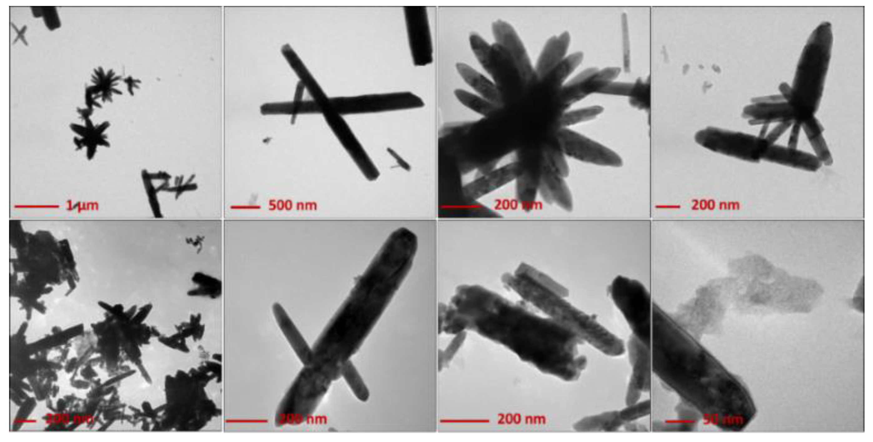 Nanomaterials 10 00473 g002