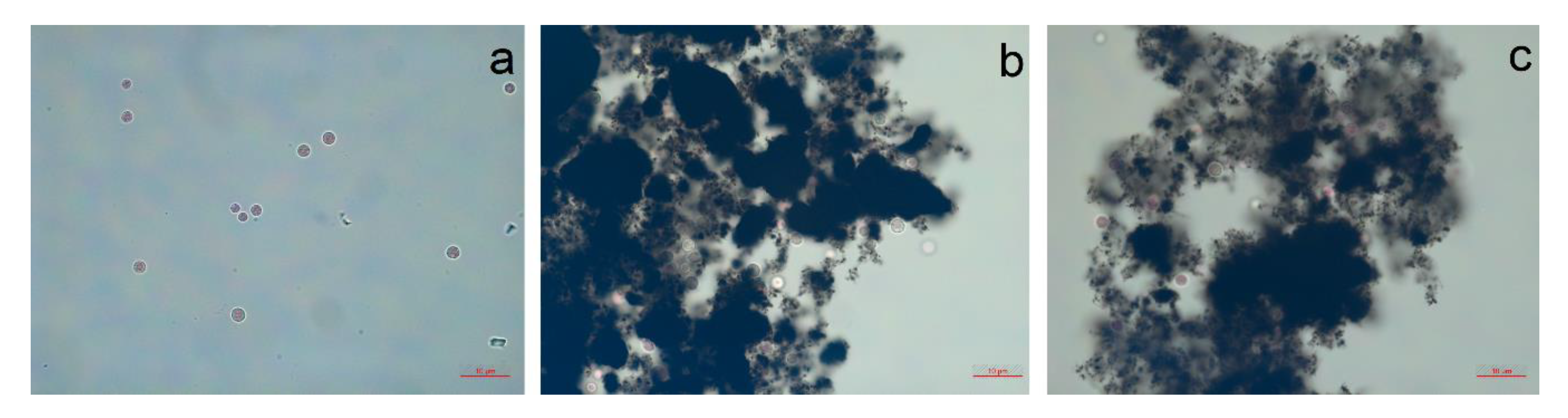 Nanomaterials 10 00485 g003 Nanomaterials 10 00485 g003