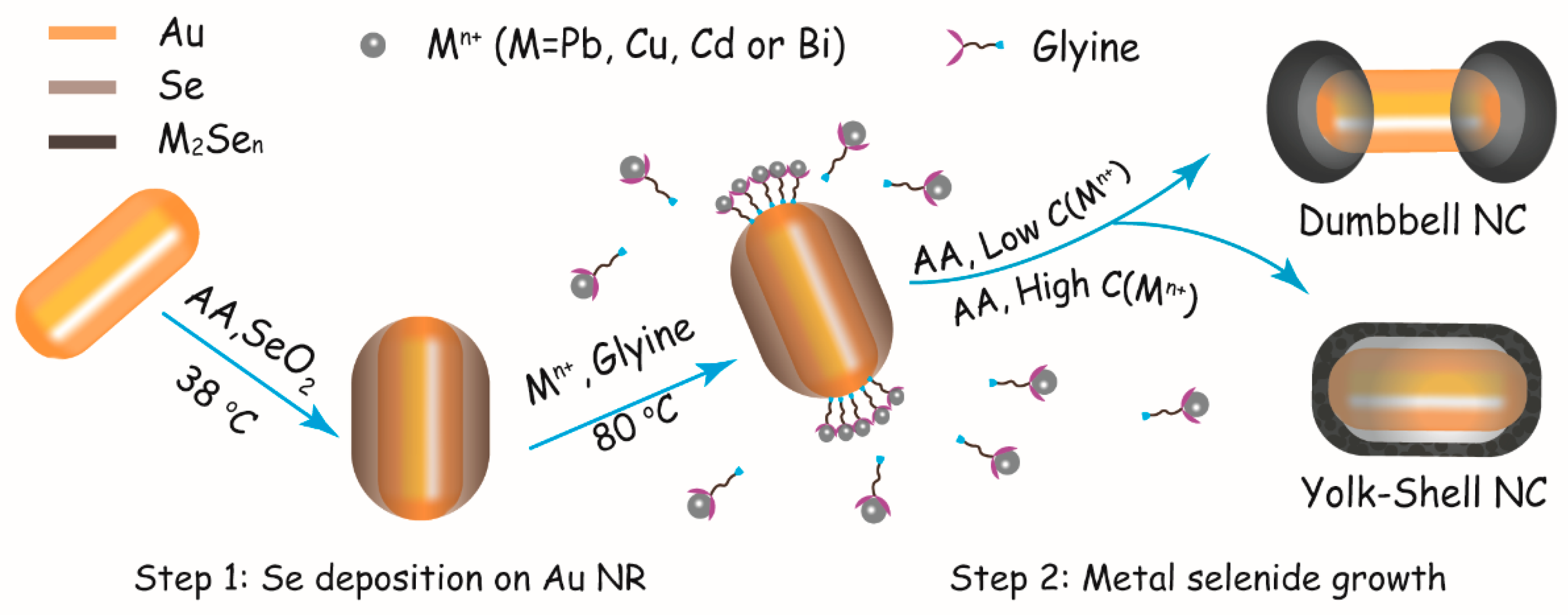 Nanomaterials 10 00564 g001