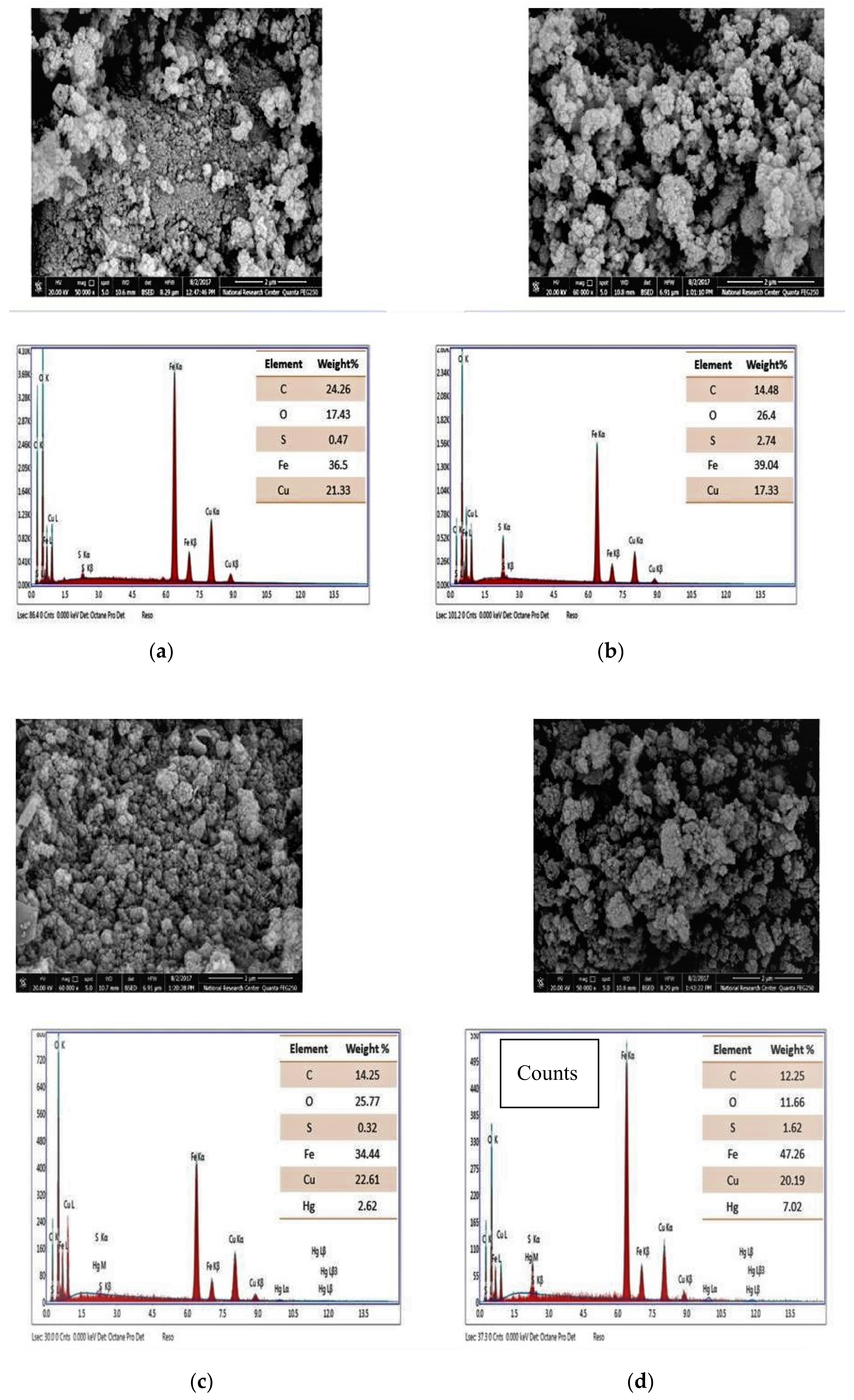 Nanomaterials 10 00586 g002