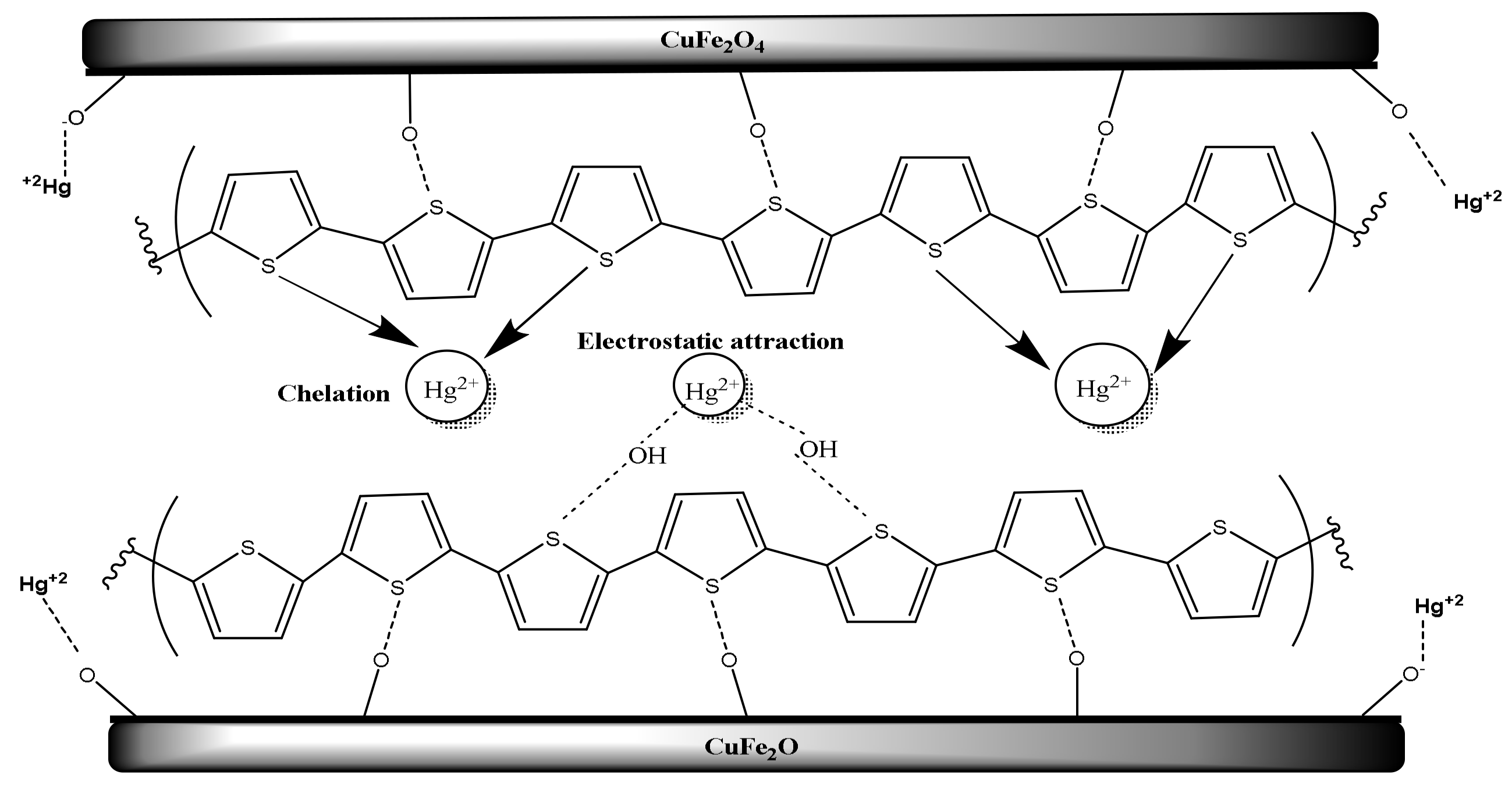 Nanomaterials 10 00586 g014