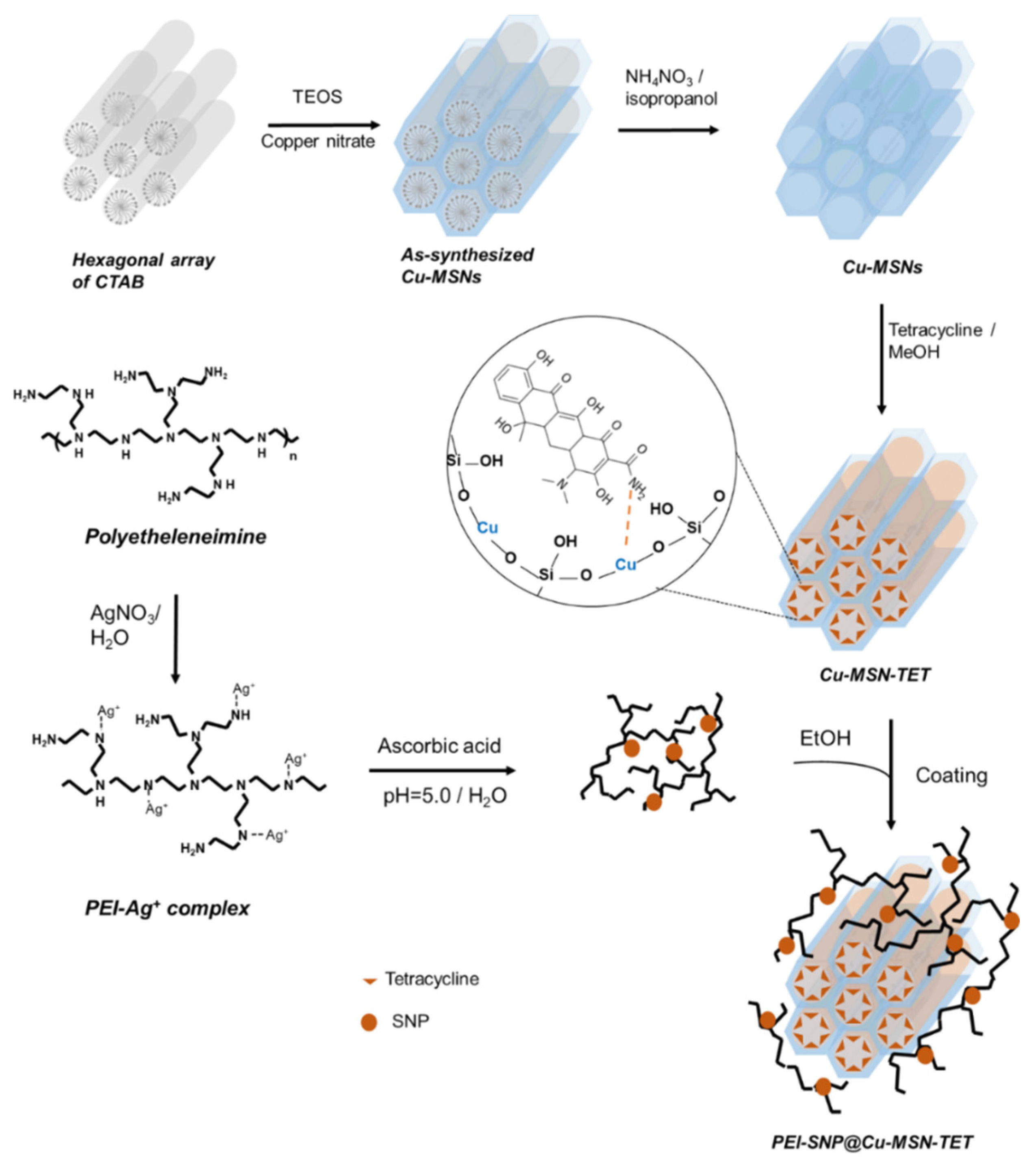 Nanomaterials 10 00597 g001