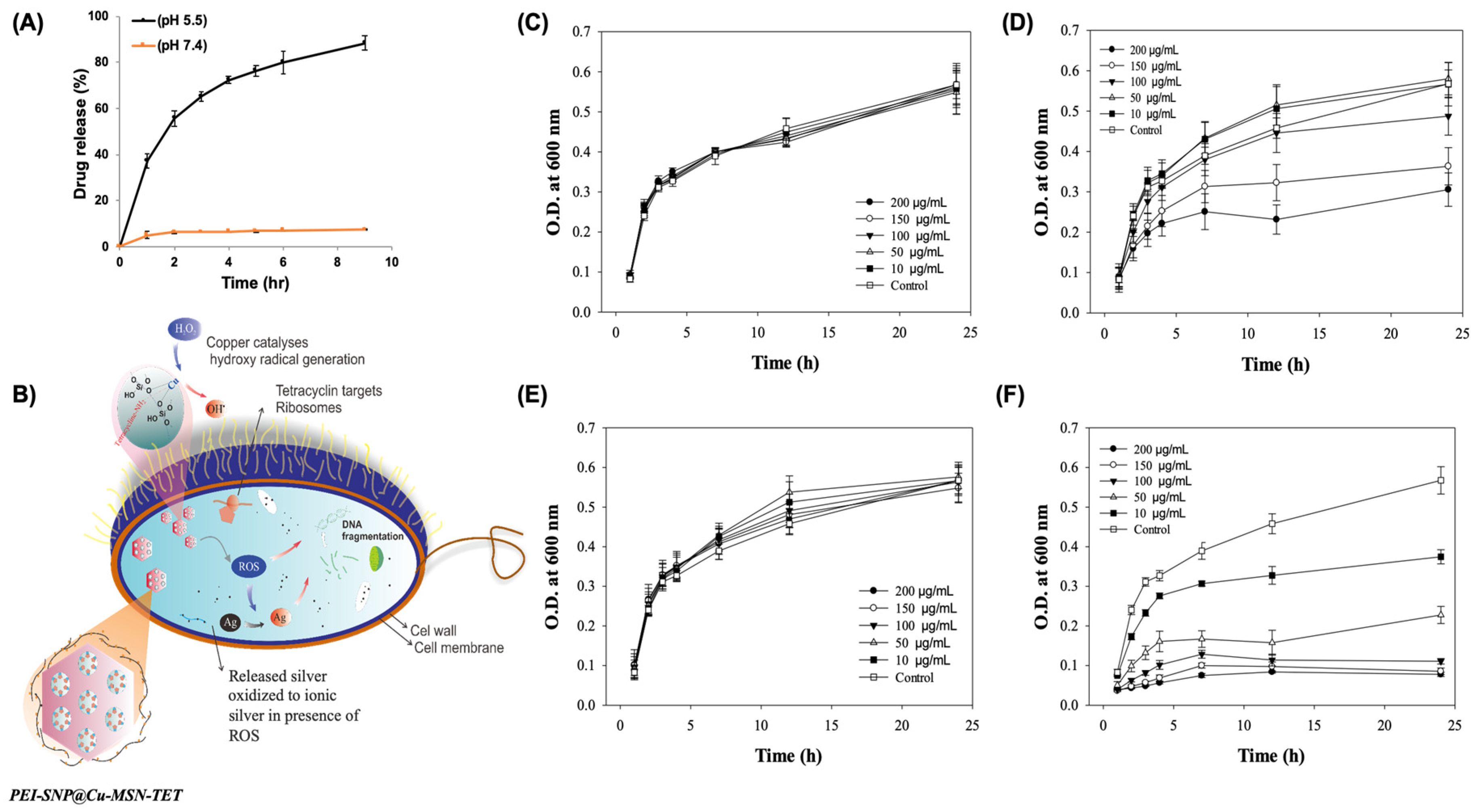 Nanomaterials 10 00597 g004