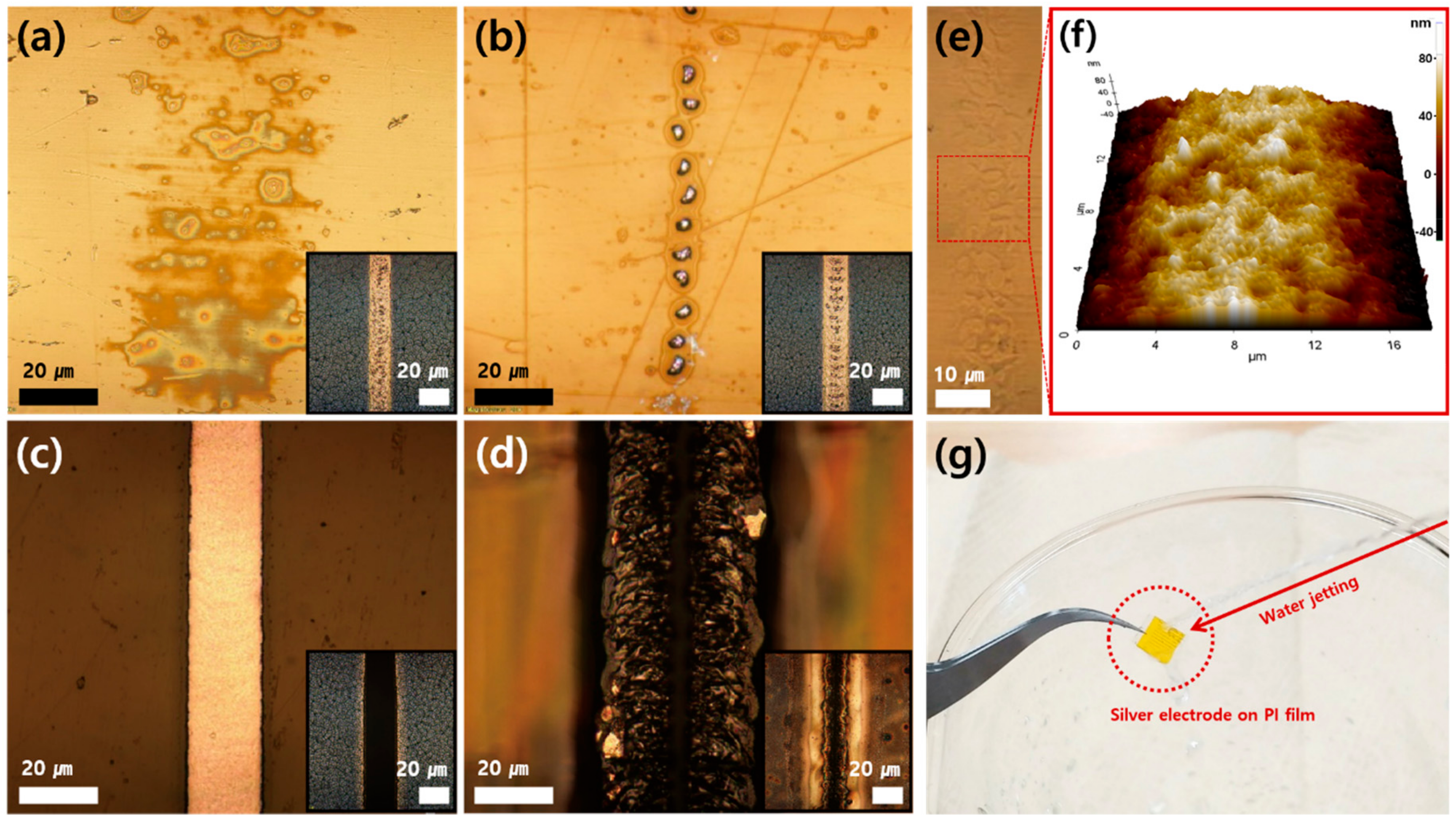 Nanomaterials 10 00701 g002