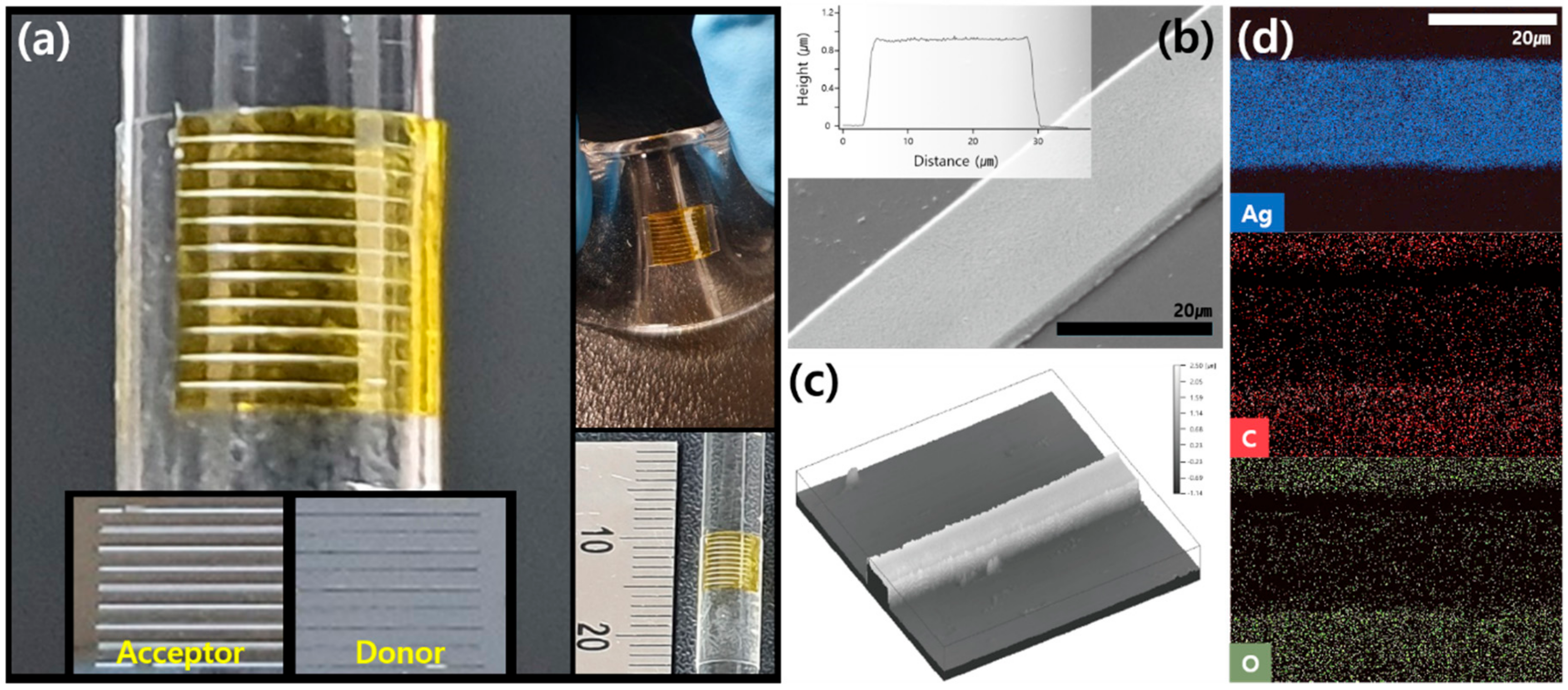 Nanomaterials 10 00701 g003