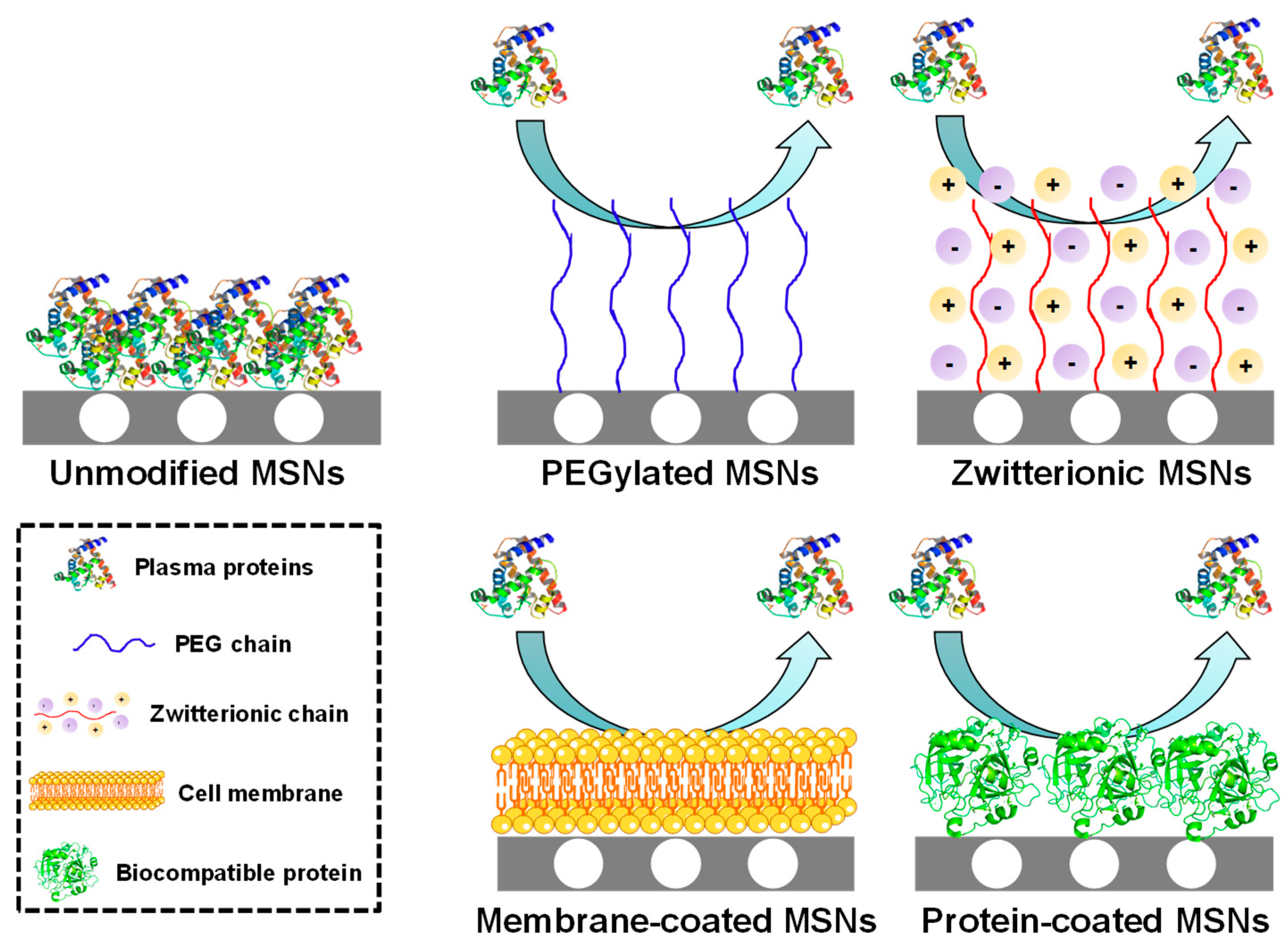 Nanomaterials 10 00916 g003