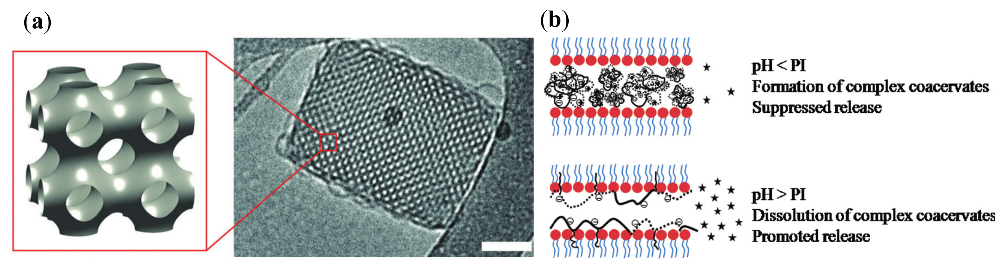 Nanomaterials 10 00963 g006