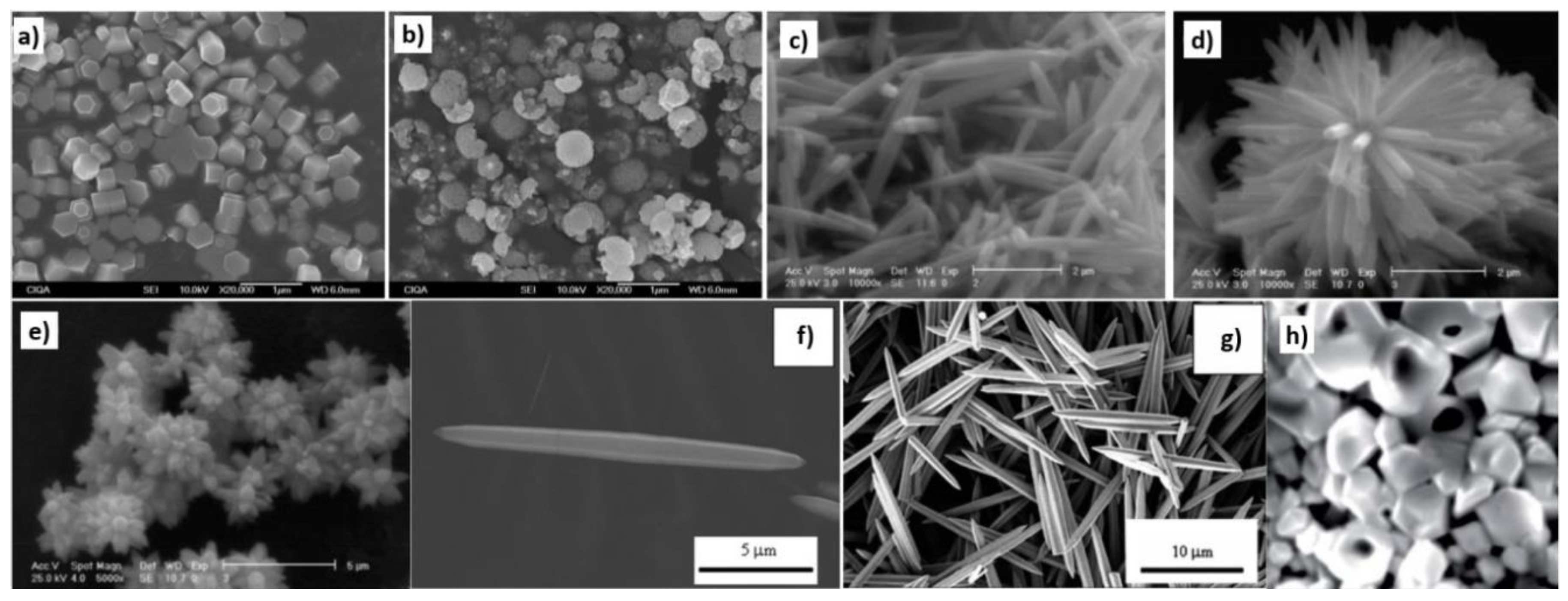 Nanomaterials 10 01086 g018