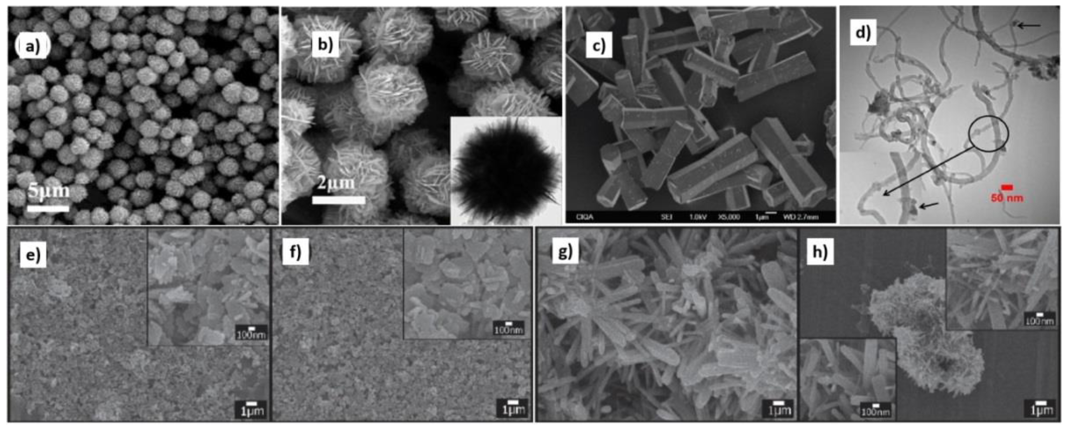 Nanomaterials 10 01086 g019