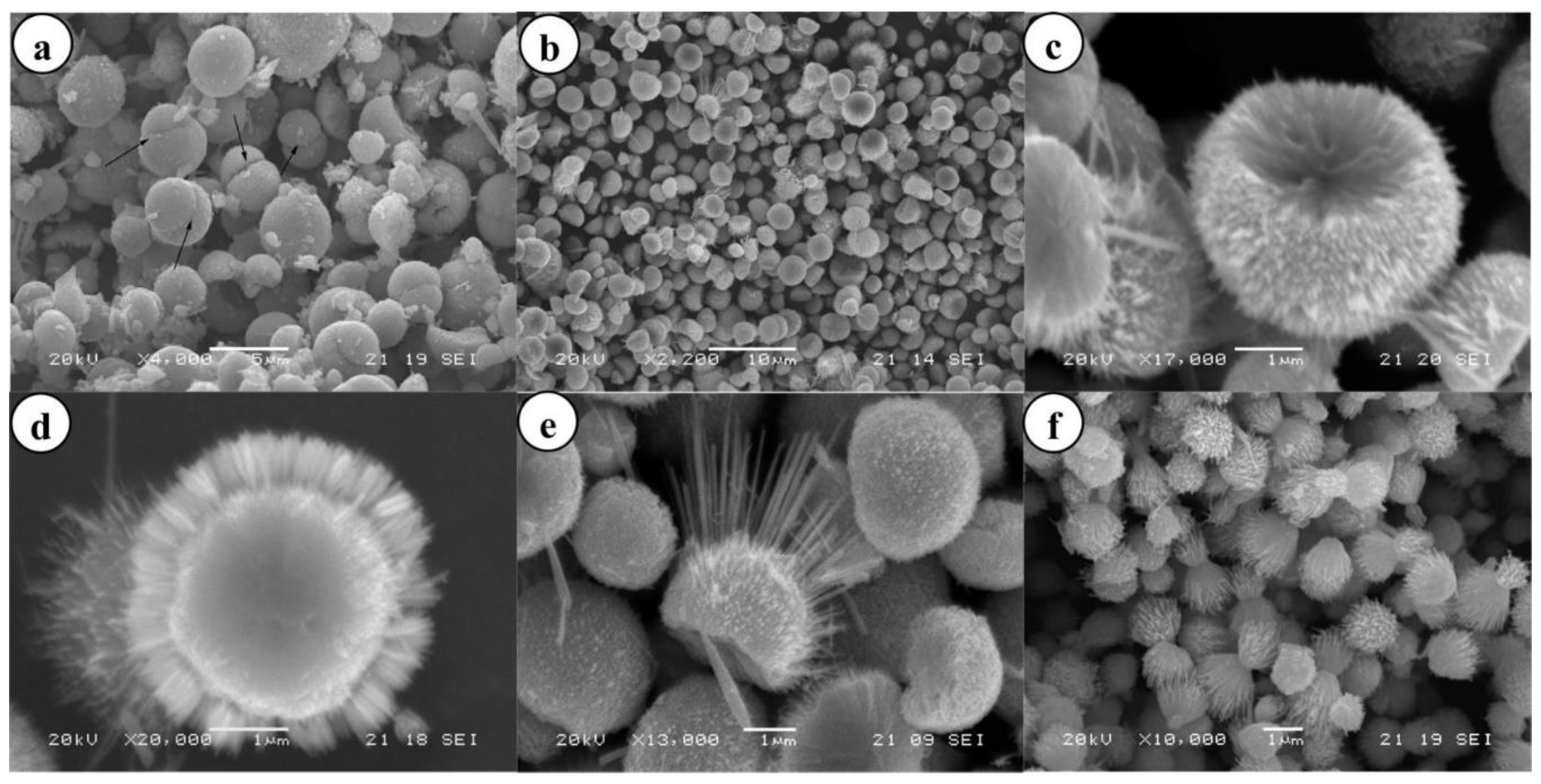 Nanomaterials 10 01086 g041