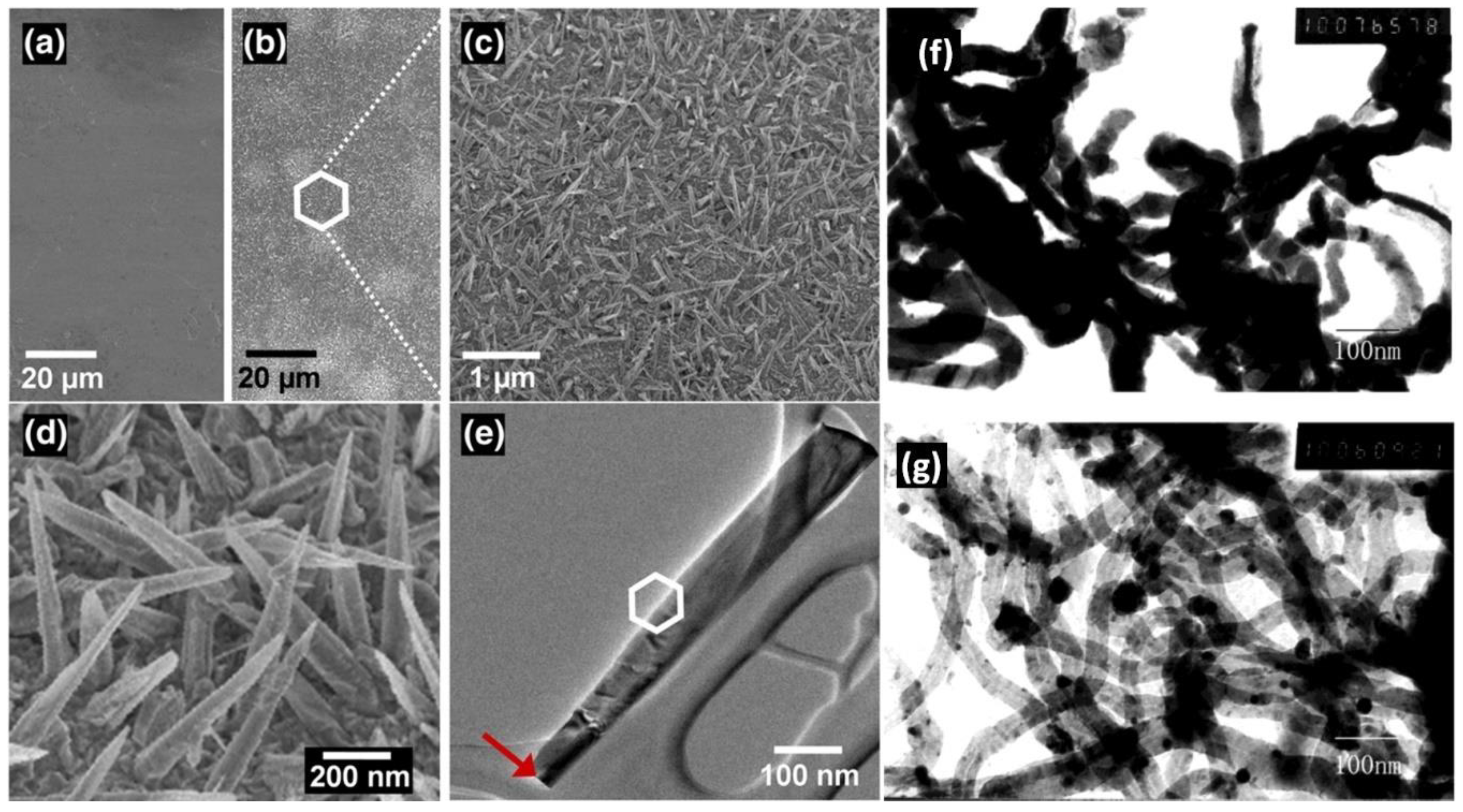 Nanomaterials 10 01086 g065